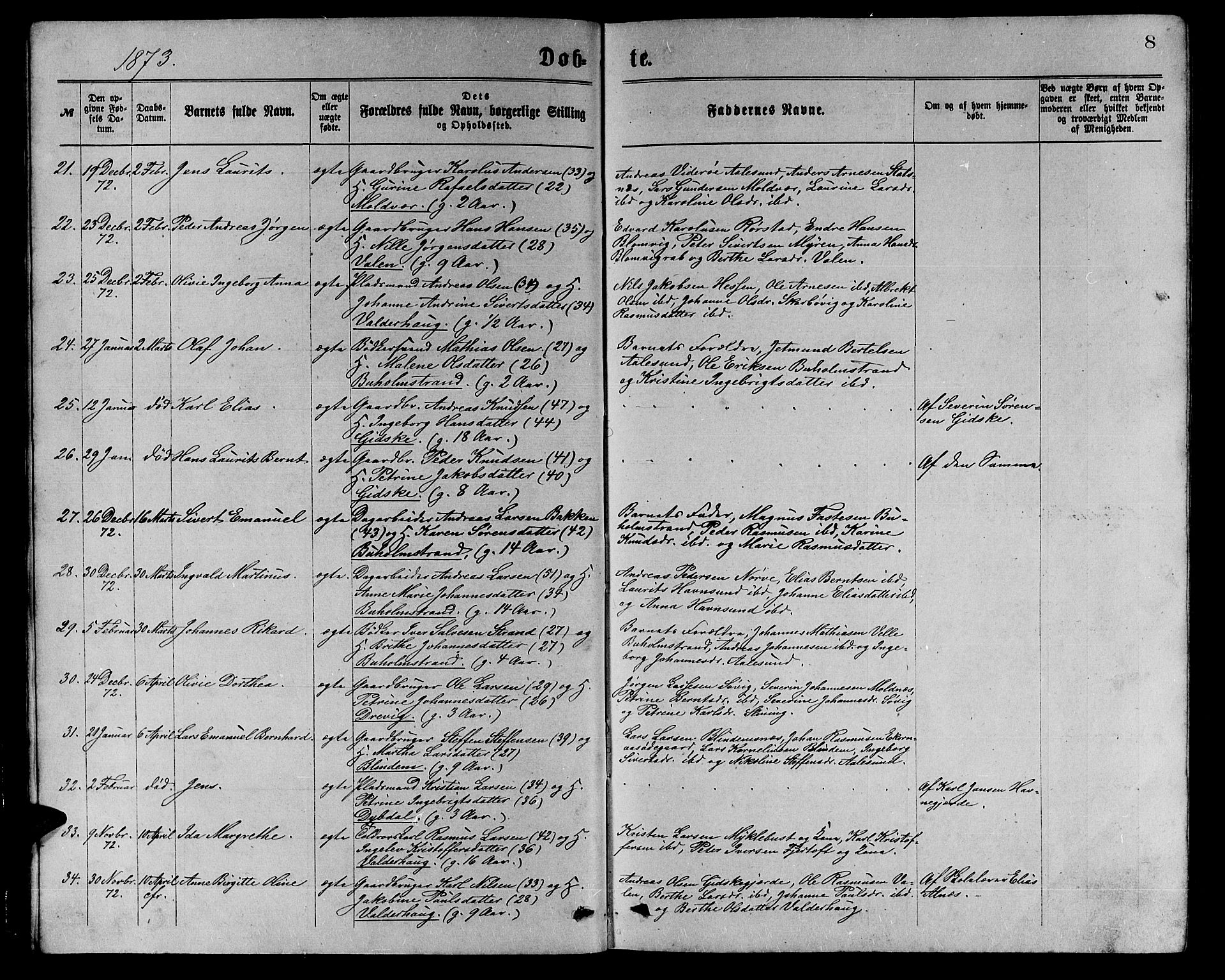 Ministerialprotokoller, klokkerbøker og fødselsregistre - Møre og Romsdal, AV/SAT-A-1454/528/L0429: Klokkerbok nr. 528C10, 1872-1886, s. 8