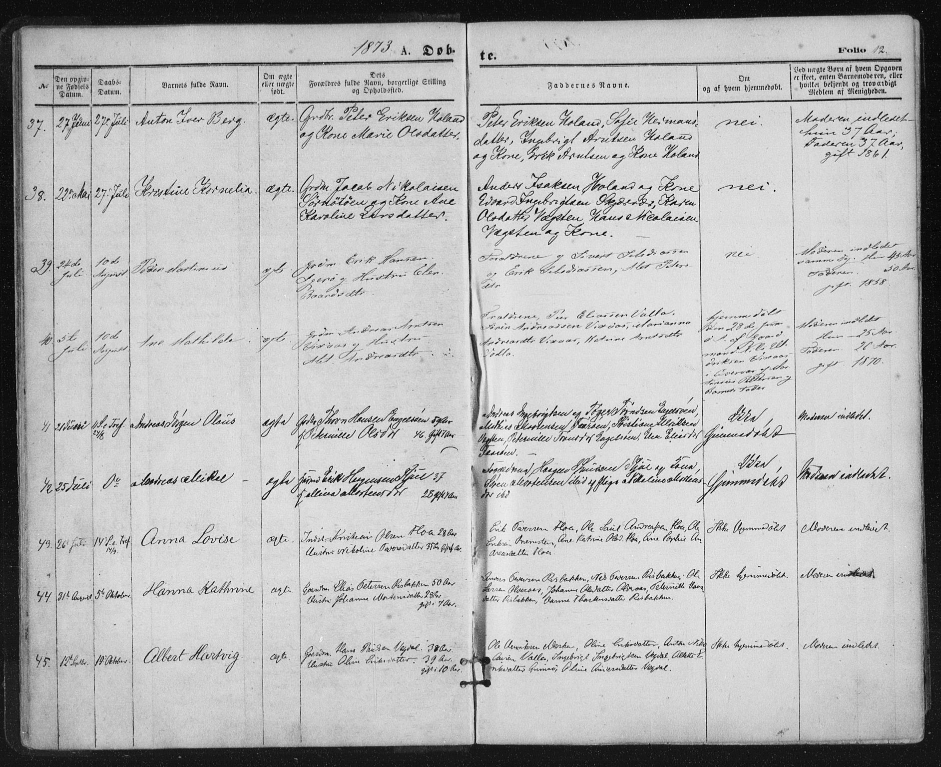 Ministerialprotokoller, klokkerbøker og fødselsregistre - Nordland, AV/SAT-A-1459/816/L0241: Ministerialbok nr. 816A07, 1870-1885, s. 12