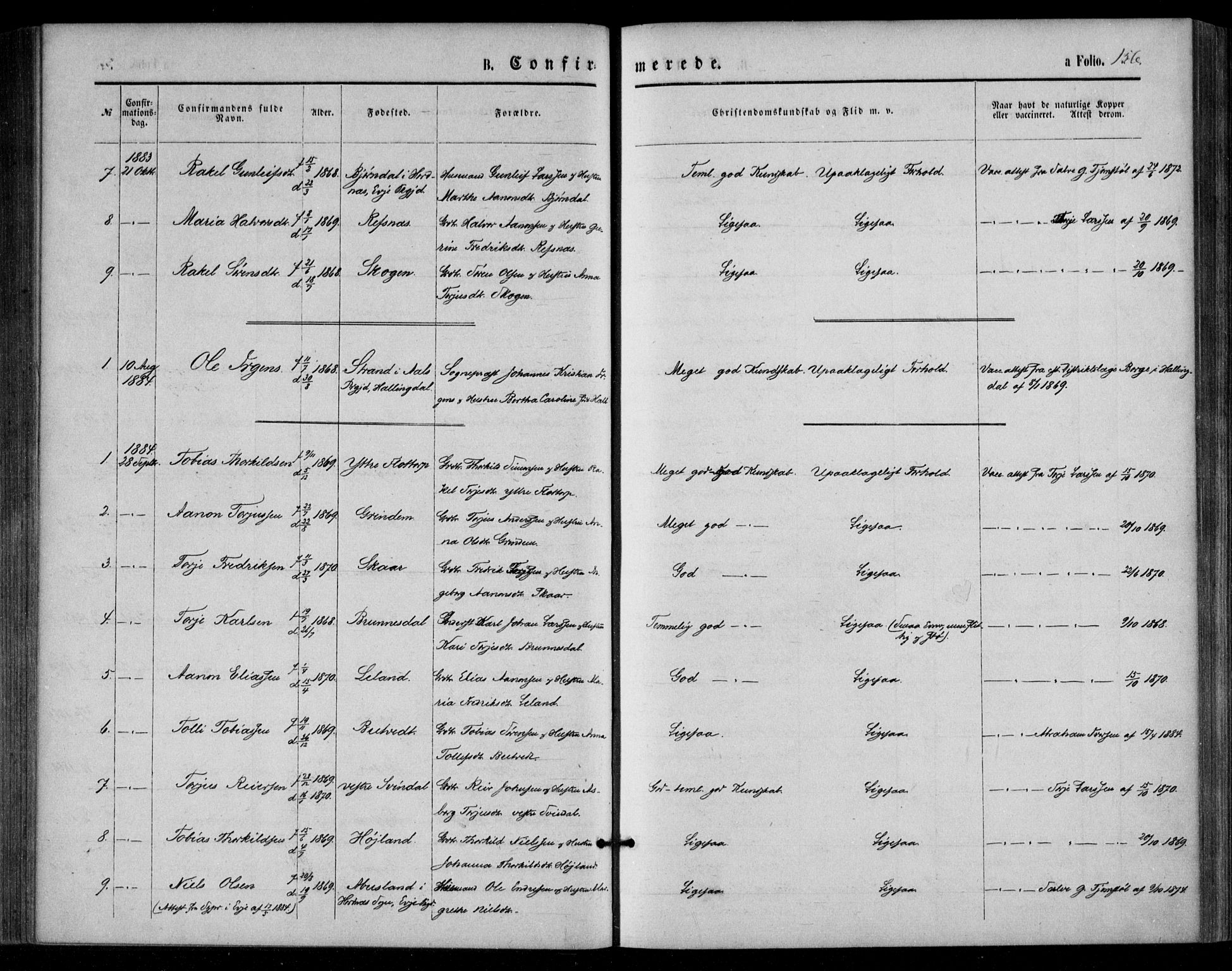 Bjelland sokneprestkontor, SAK/1111-0005/F/Fa/Fac/L0002: Ministerialbok nr. A 2, 1866-1887, s. 156