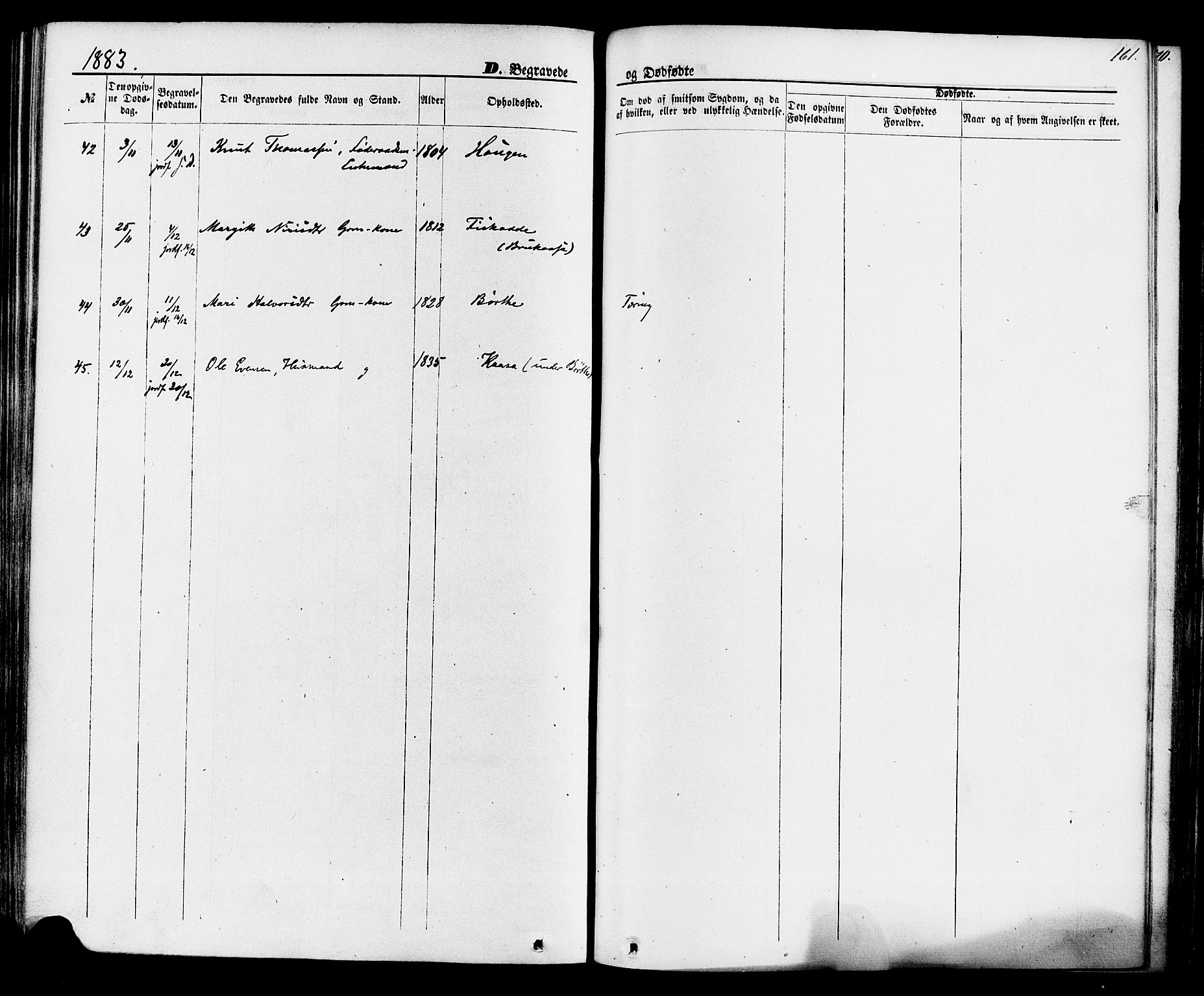 Lunde kirkebøker, SAKO/A-282/F/Fa/L0001: Ministerialbok nr. I 1, 1866-1883, s. 161