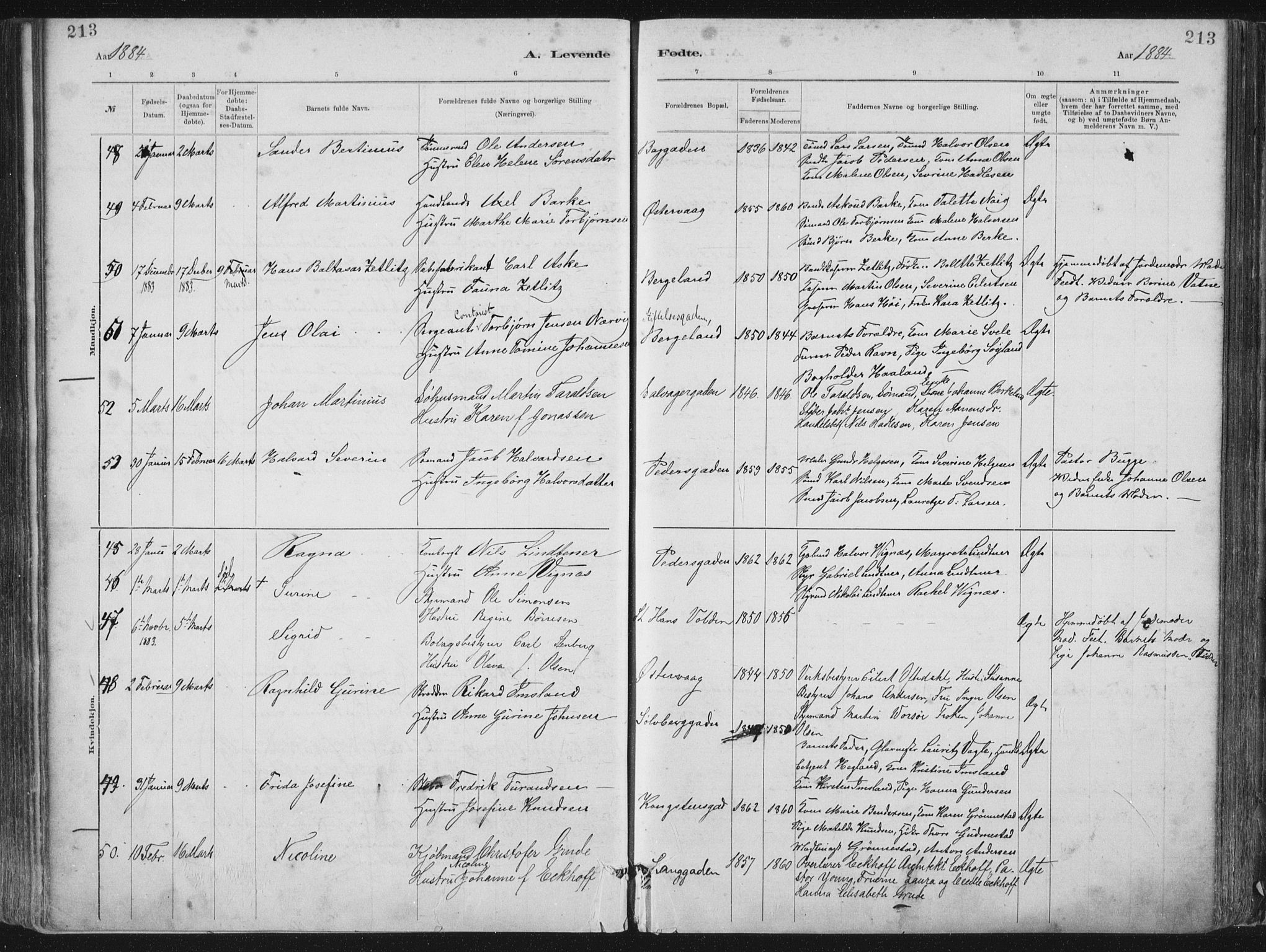 St. Petri sokneprestkontor, AV/SAST-A-101813/001/30/30BA/L0015: Ministerialbok nr. A 15, 1879-1888, s. 213