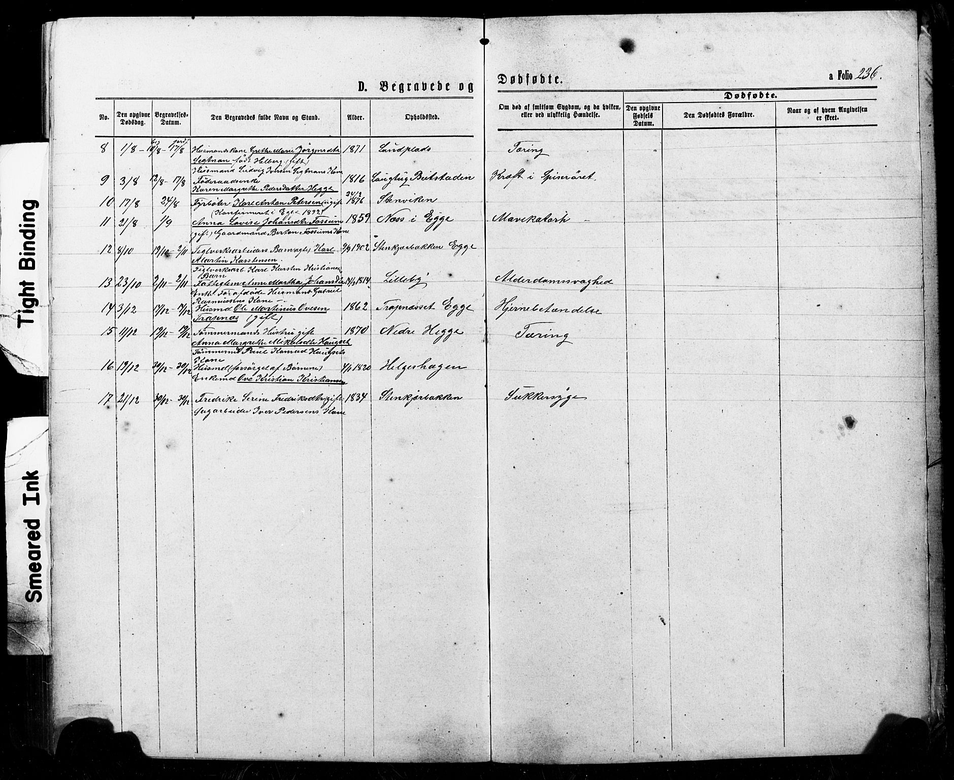 Ministerialprotokoller, klokkerbøker og fødselsregistre - Nord-Trøndelag, SAT/A-1458/740/L0380: Klokkerbok nr. 740C01, 1868-1902, s. 236