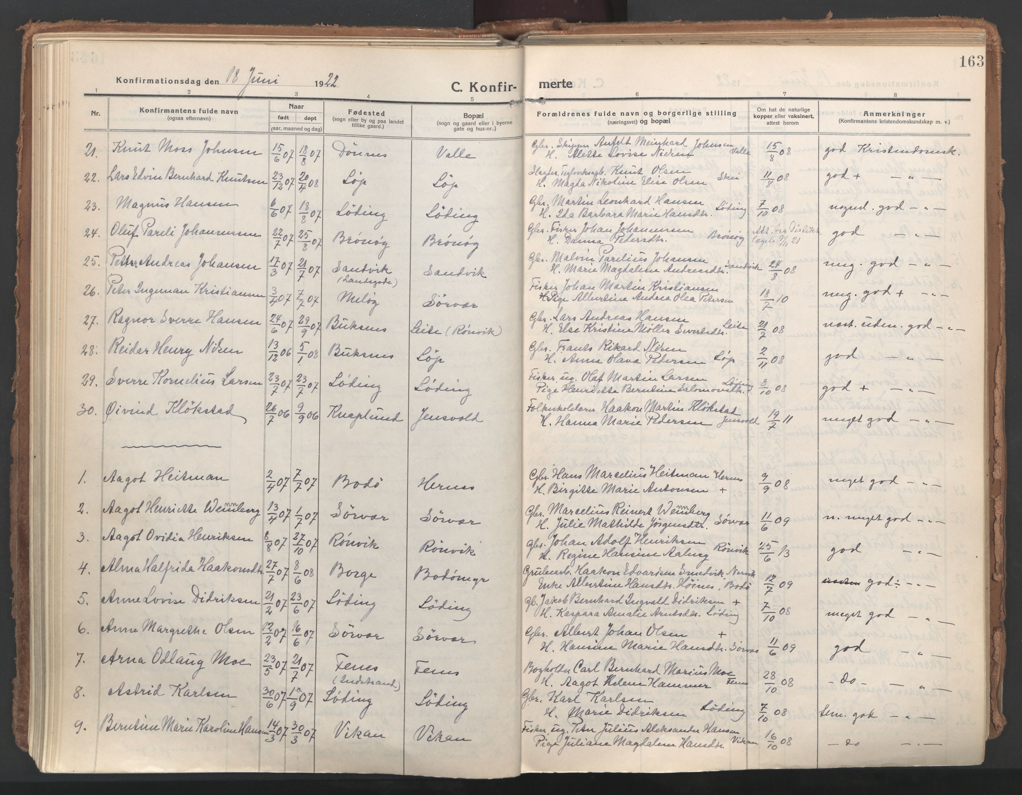 Ministerialprotokoller, klokkerbøker og fødselsregistre - Nordland, AV/SAT-A-1459/802/L0060: Ministerialbok nr. 802A07, 1916-1933, s. 163