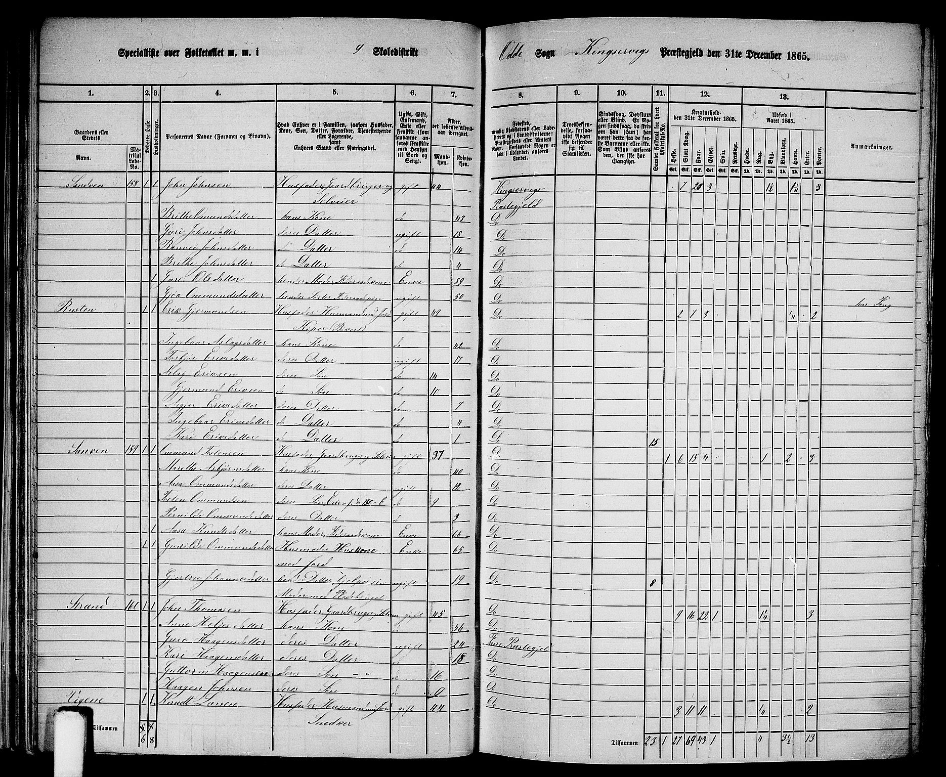 RA, Folketelling 1865 for 1230P Kinsarvik prestegjeld, 1865, s. 41