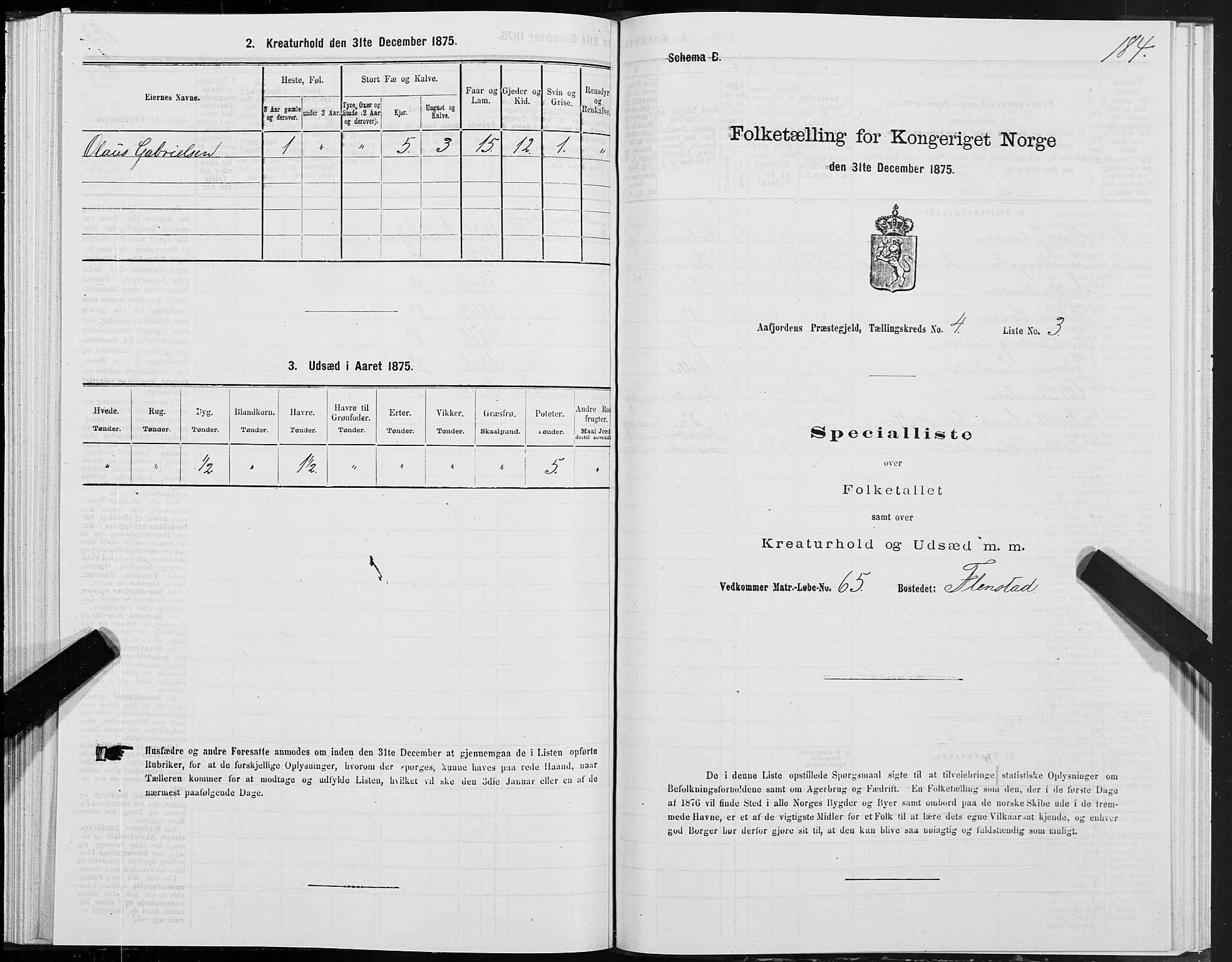 SAT, Folketelling 1875 for 1630P Aafjorden prestegjeld, 1875, s. 2184