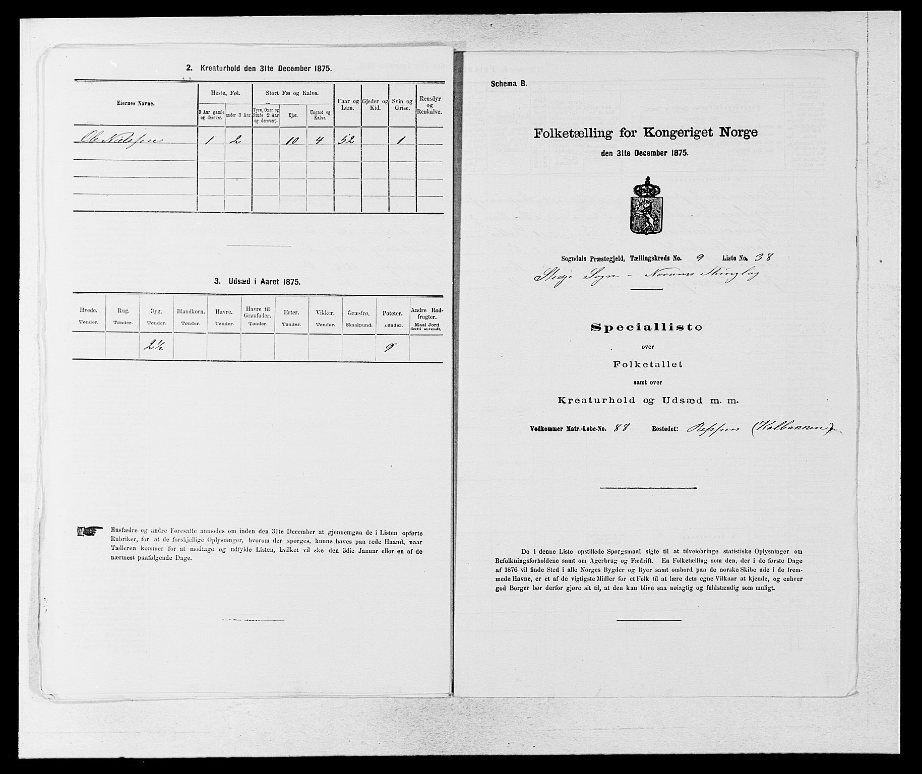 SAB, Folketelling 1875 for 1420P Sogndal prestegjeld, 1875, s. 884