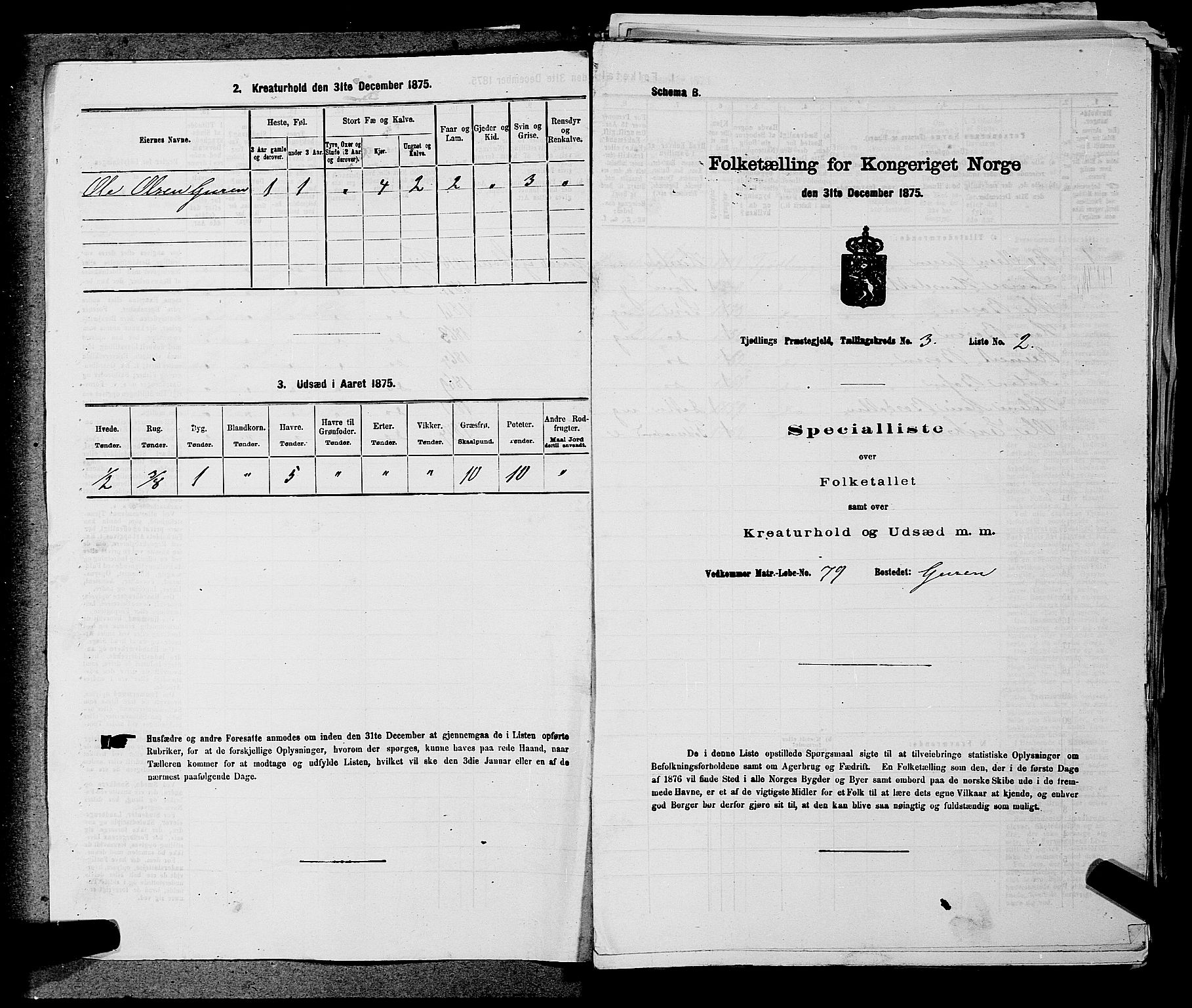 SAKO, Folketelling 1875 for 0725P Tjølling prestegjeld, 1875, s. 533