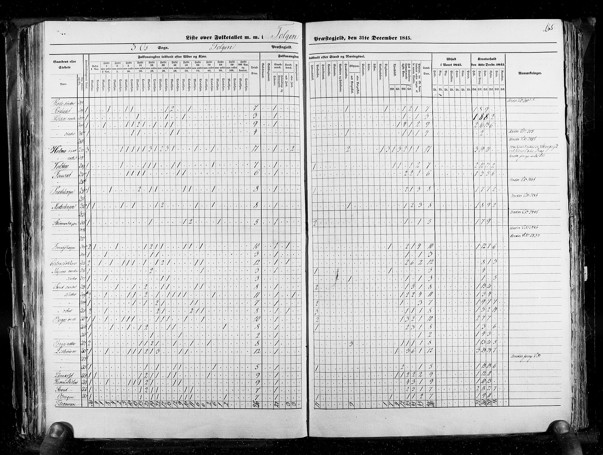 RA, Folketellingen 1845, bind 3: Hedemarken amt og Kristians amt, 1845, s. 165