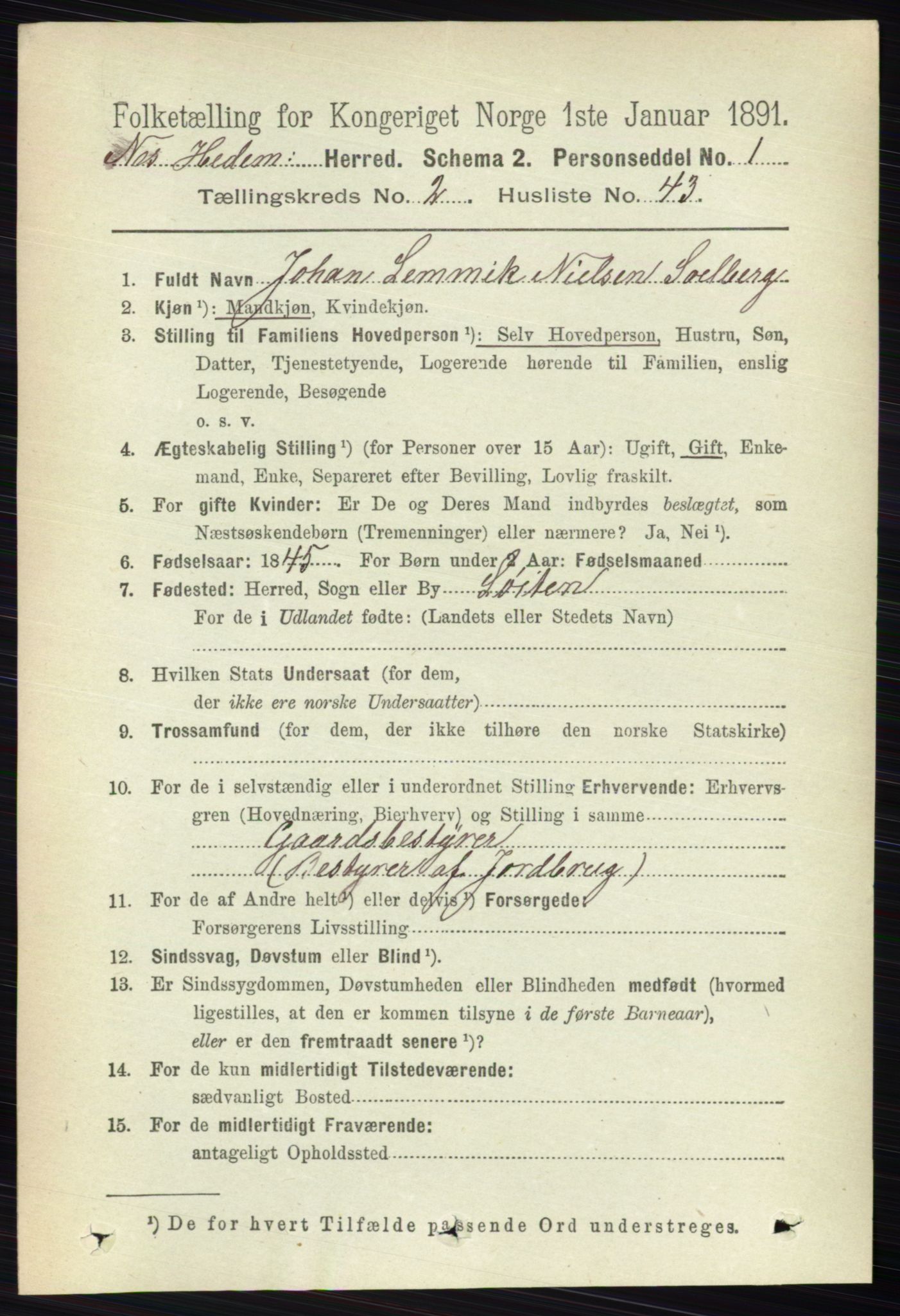RA, Folketelling 1891 for 0411 Nes herred, 1891, s. 1385