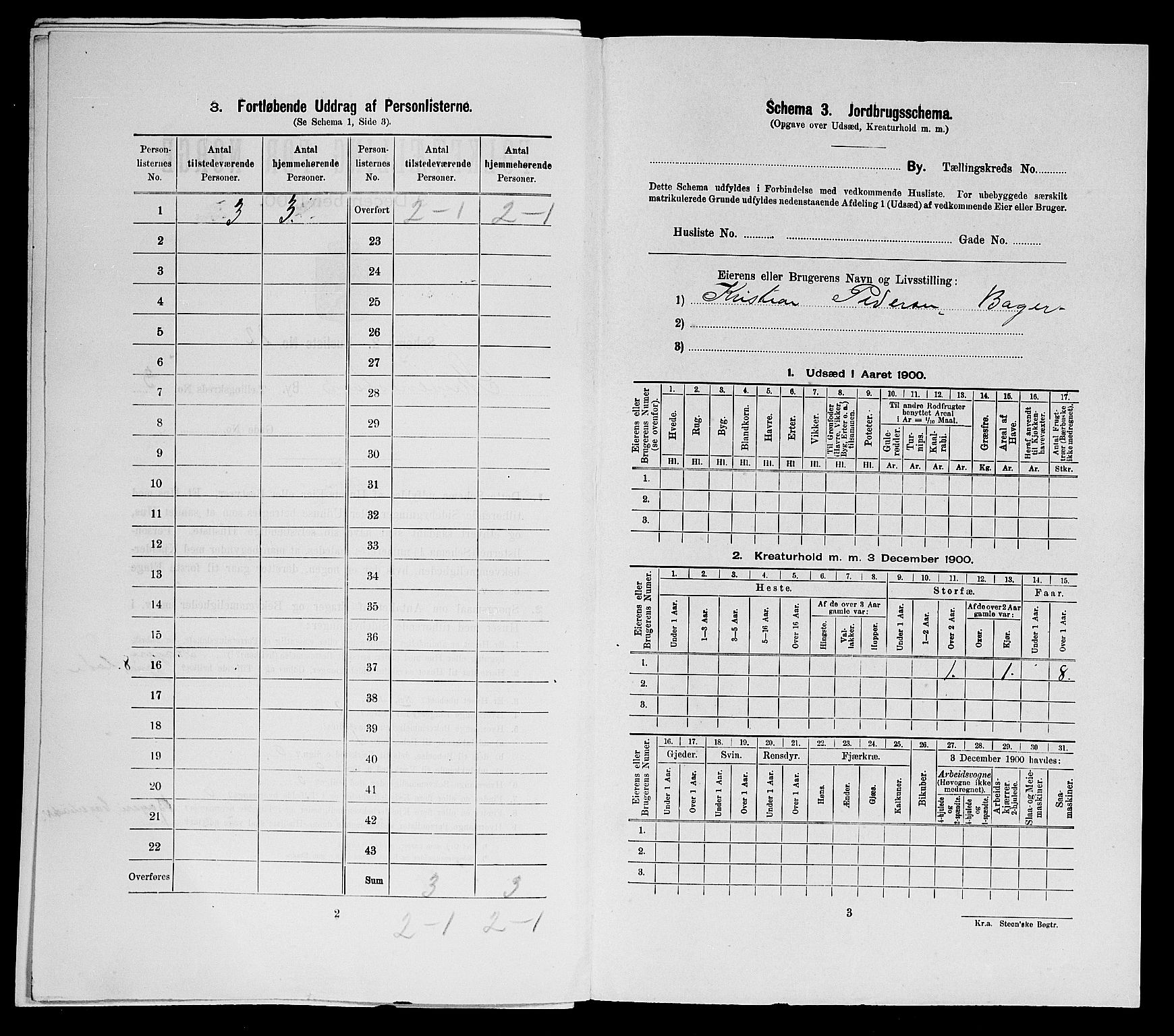 SAST, Folketelling 1900 for 1104 Skudeneshavn ladested, 1900, s. 636