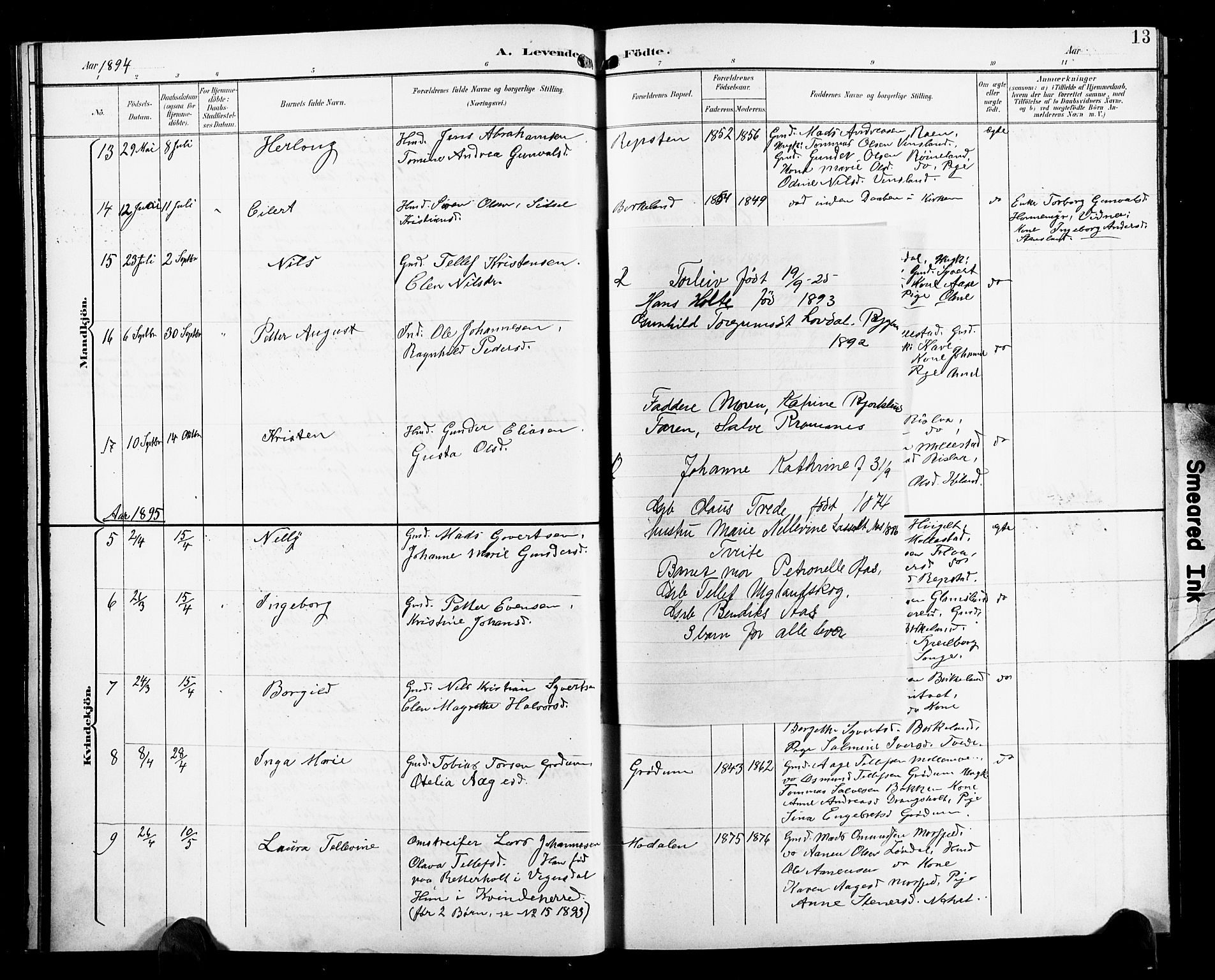Birkenes sokneprestkontor, AV/SAK-1111-0004/F/Fb/L0004: Klokkerbok nr. B 4, 1893-1930, s. 13