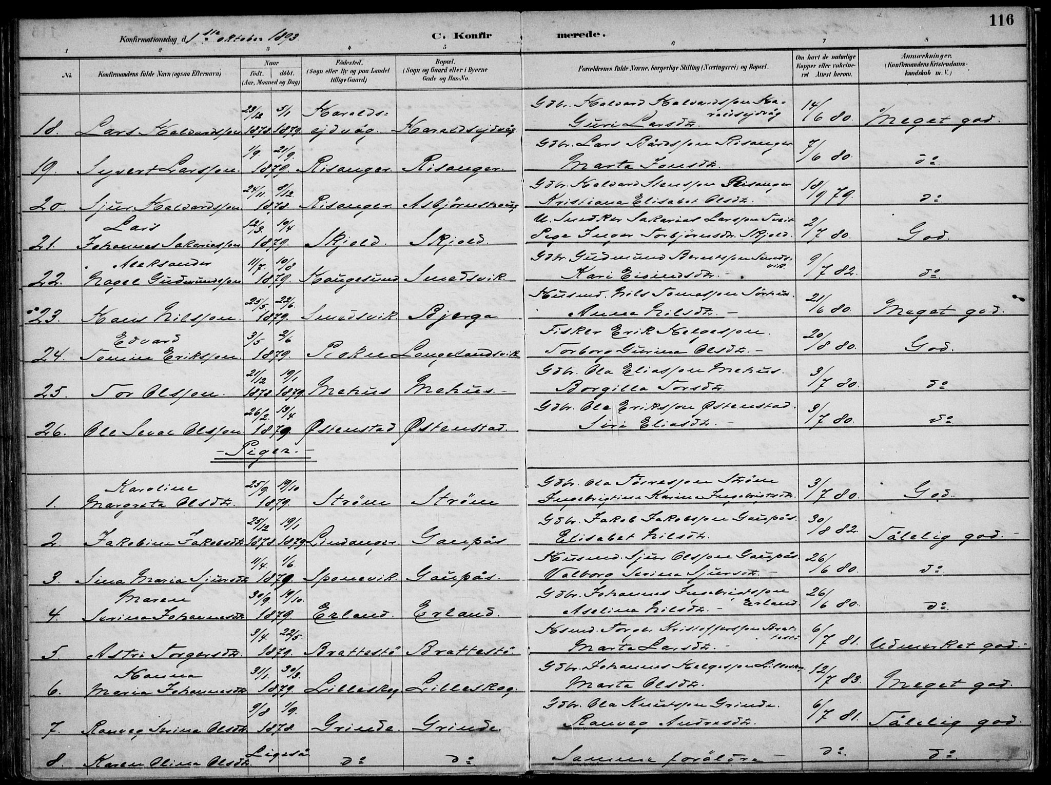 Skjold sokneprestkontor, SAST/A-101847/H/Ha/Haa/L0010: Ministerialbok nr. A 10, 1882-1897, s. 116