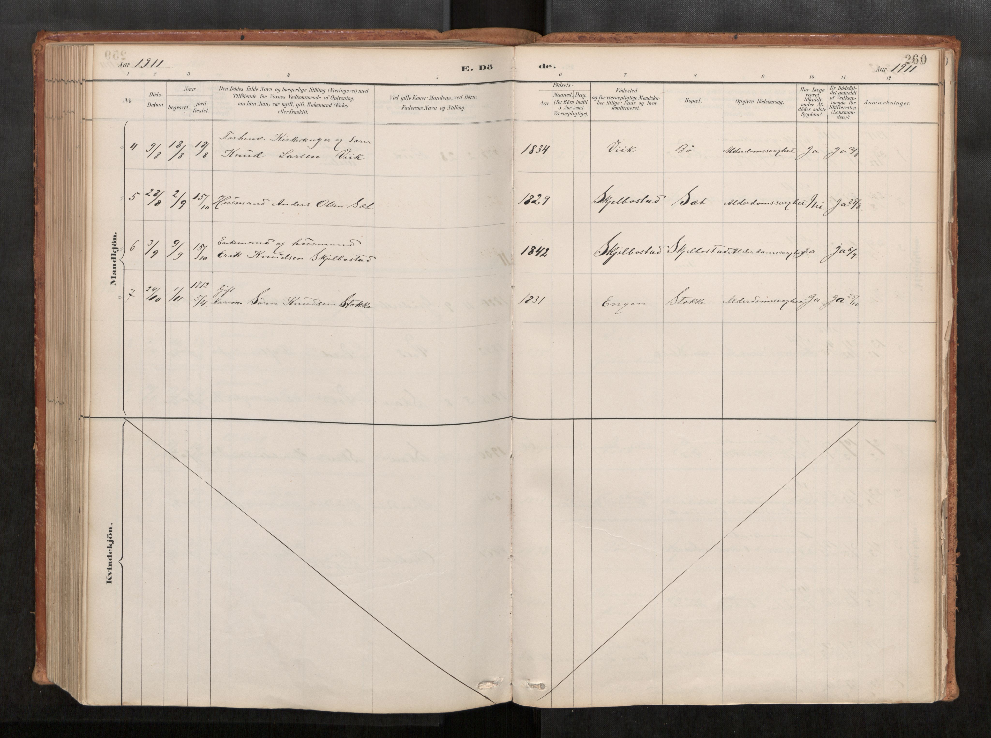 Ministerialprotokoller, klokkerbøker og fødselsregistre - Møre og Romsdal, AV/SAT-A-1454/543/L0568: Ministerialbok nr. 543A03, 1885-1915, s. 260