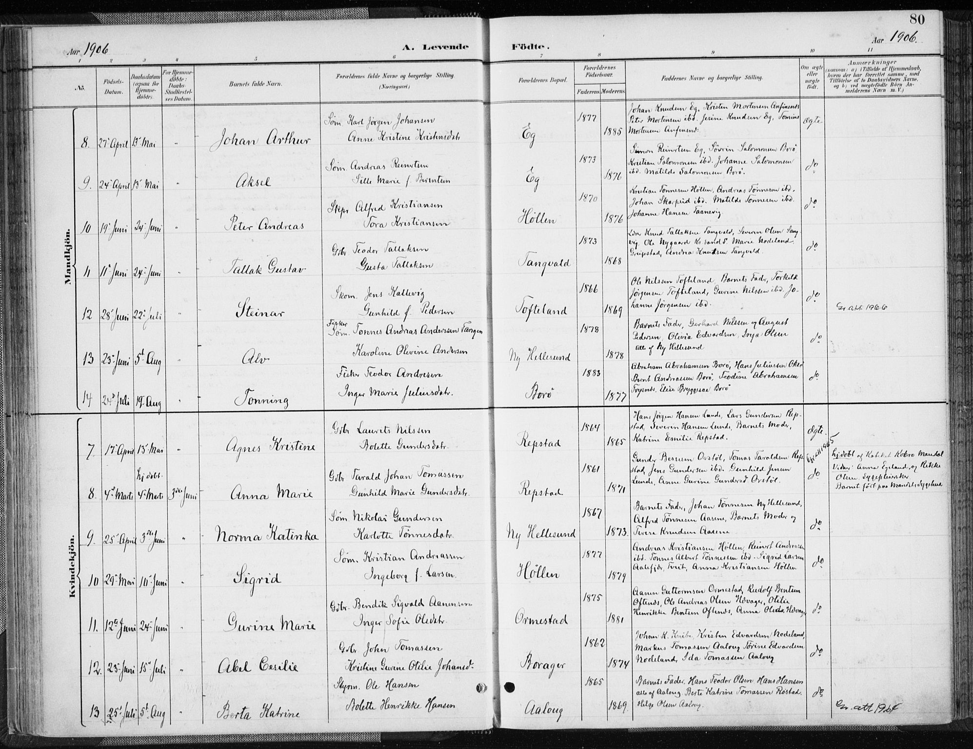 Søgne sokneprestkontor, AV/SAK-1111-0037/F/Fa/Fab/L0013: Ministerialbok nr. A 13, 1892-1911, s. 80