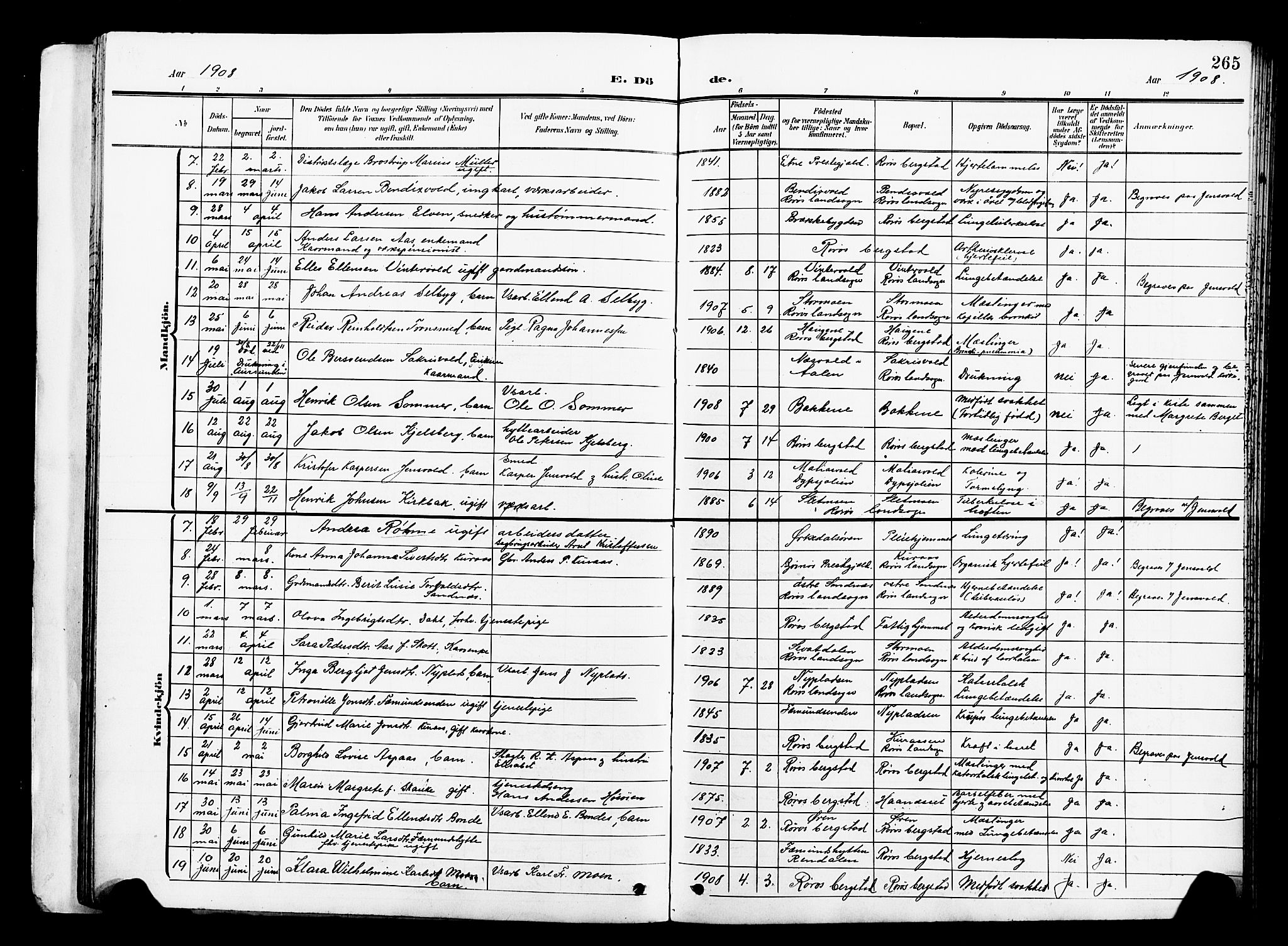Ministerialprotokoller, klokkerbøker og fødselsregistre - Sør-Trøndelag, SAT/A-1456/681/L0942: Klokkerbok nr. 681C06, 1906-1925, s. 265
