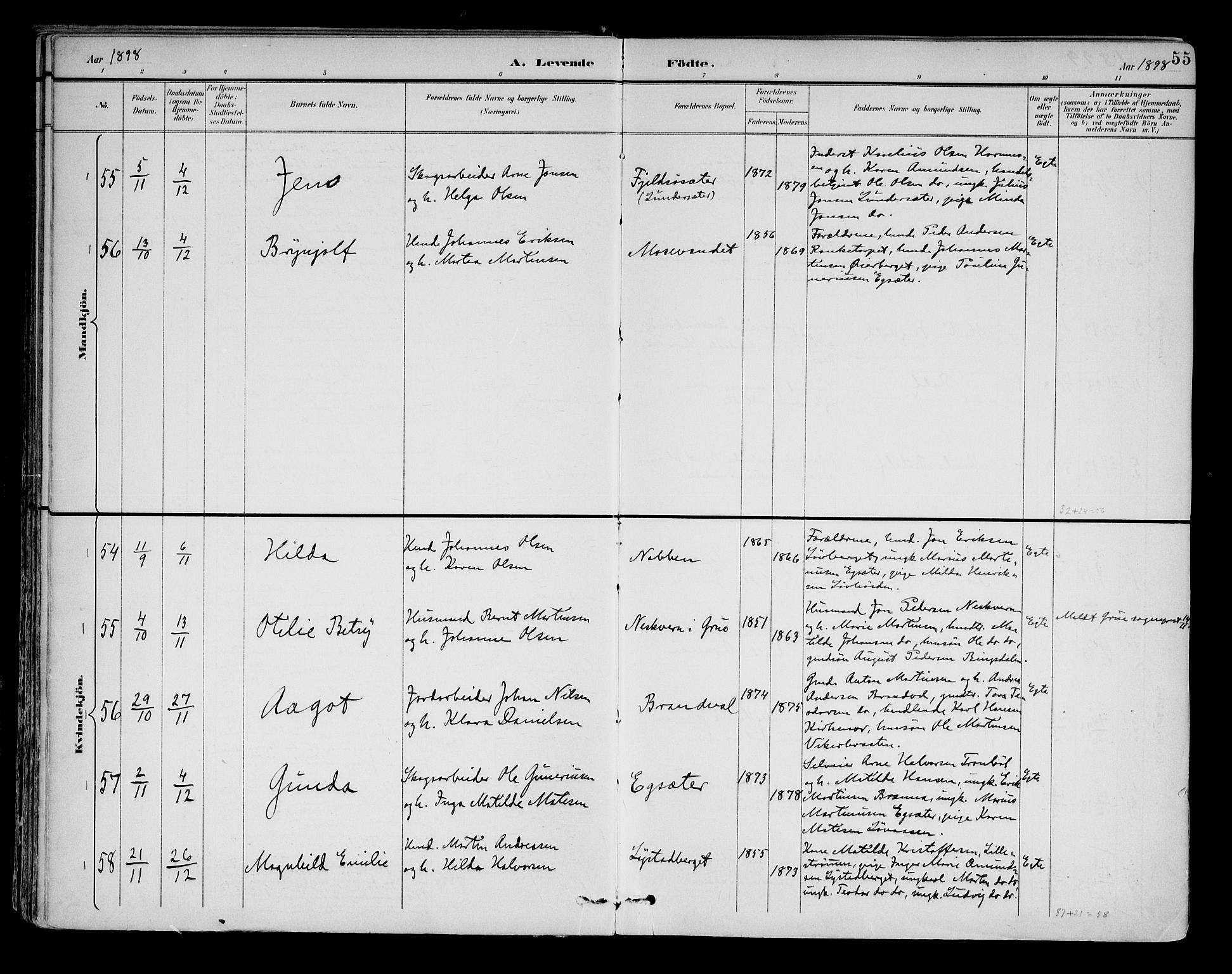 Brandval prestekontor, AV/SAH-PREST-034/H/Ha/Haa/L0003: Ministerialbok nr. 3, 1894-1909, s. 55