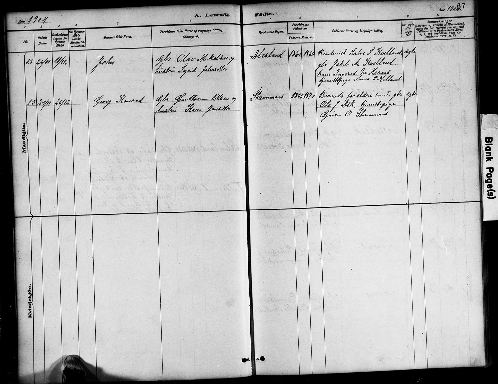 Bjelland sokneprestkontor, AV/SAK-1111-0005/F/Fb/Fbb/L0005: Klokkerbok nr. B 5, 1887-1918, s. 67