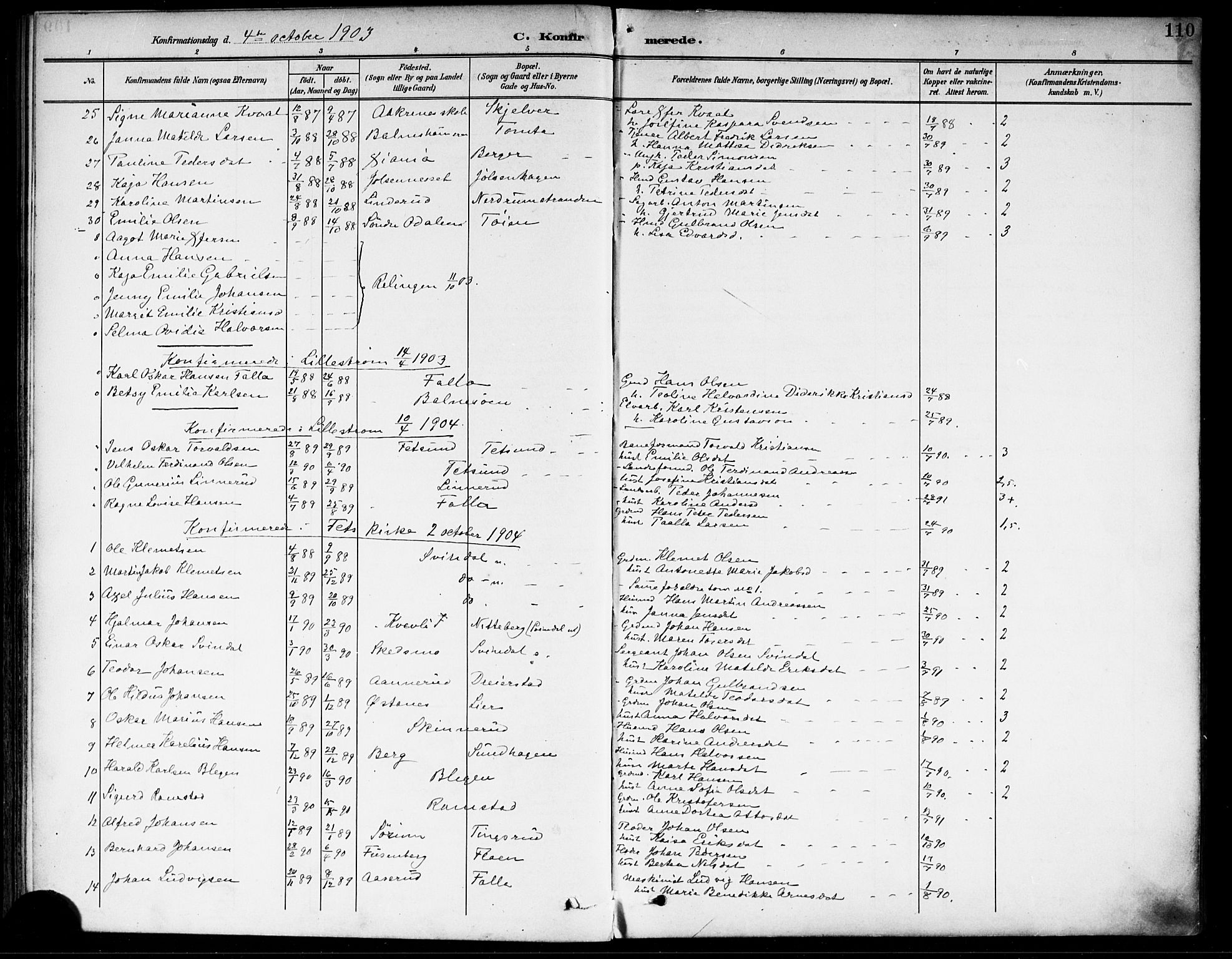 Fet prestekontor Kirkebøker, AV/SAO-A-10370a/F/Fa/L0015: Ministerialbok nr. I 15, 1892-1904, s. 110