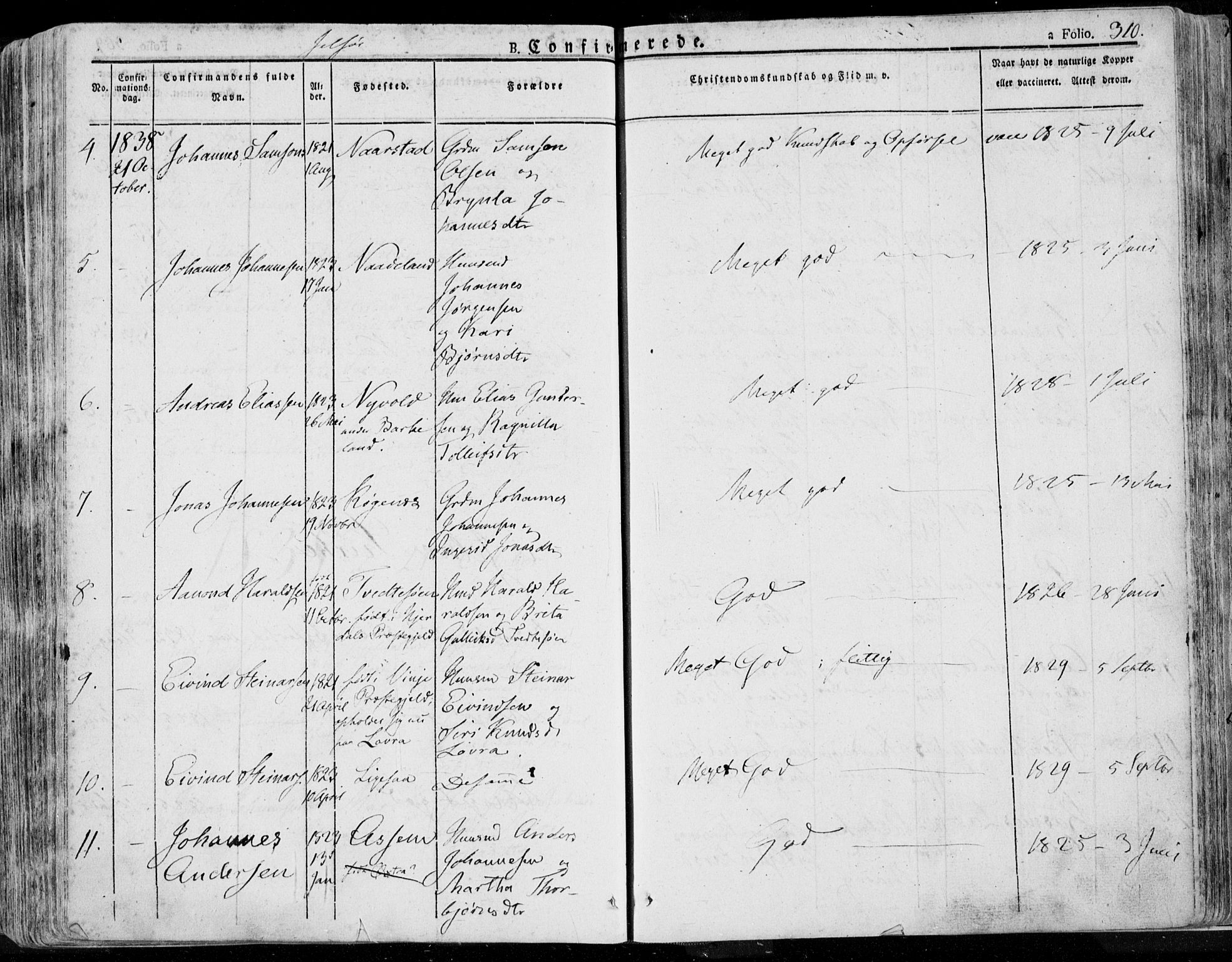 Jelsa sokneprestkontor, AV/SAST-A-101842/01/IV: Ministerialbok nr. A 6.1, 1828-1853, s. 310