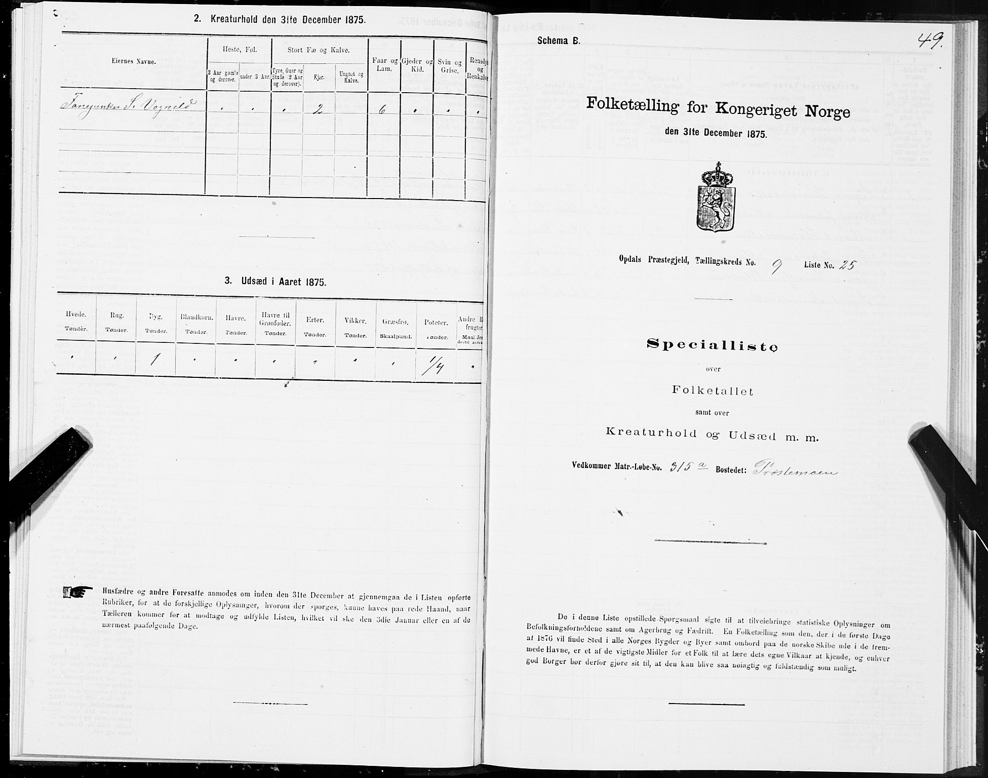 SAT, Folketelling 1875 for 1634P Oppdal prestegjeld, 1875, s. 6049