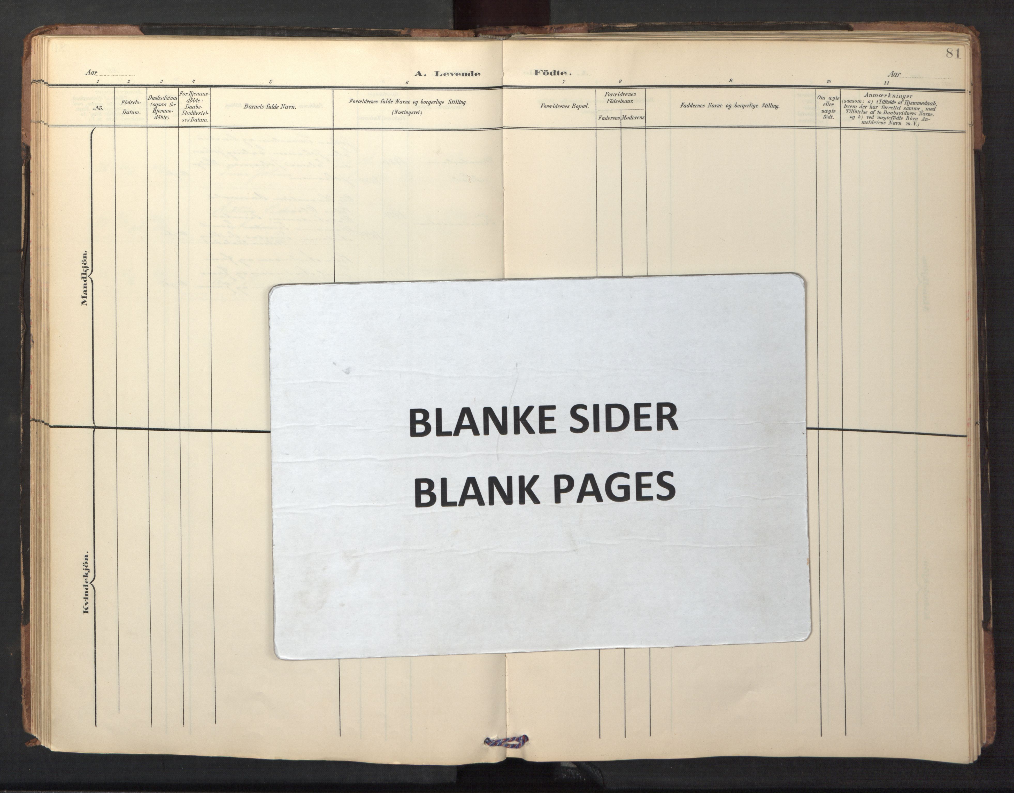 Ministerialprotokoller, klokkerbøker og fødselsregistre - Nordland, AV/SAT-A-1459/882/L1185: Klokkerbok nr. 882C03, 1898-1910, s. 81