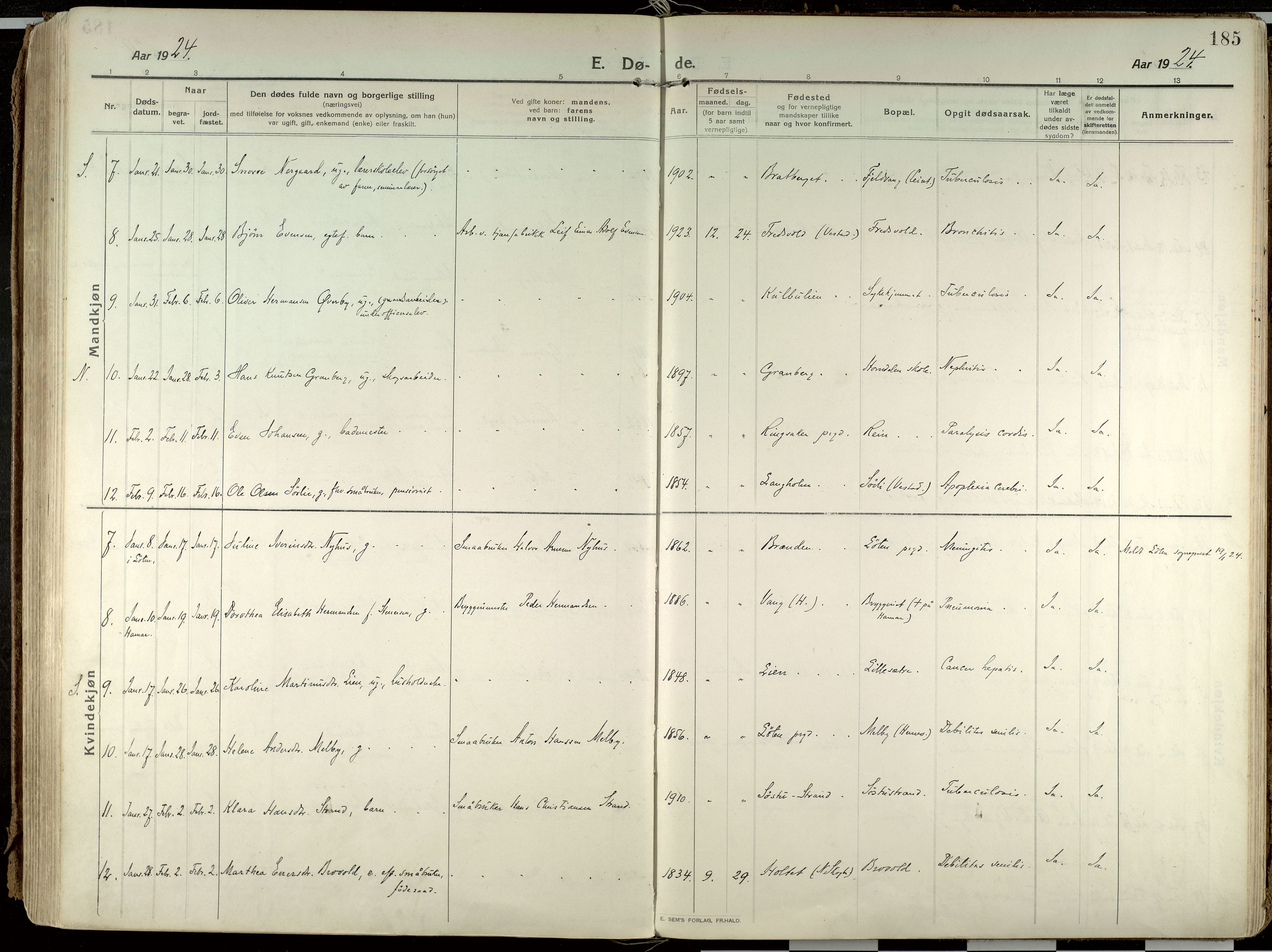 Elverum prestekontor, AV/SAH-PREST-044/H/Ha/Haa/L0021: Ministerialbok nr. 21, 1913-1928, s. 185