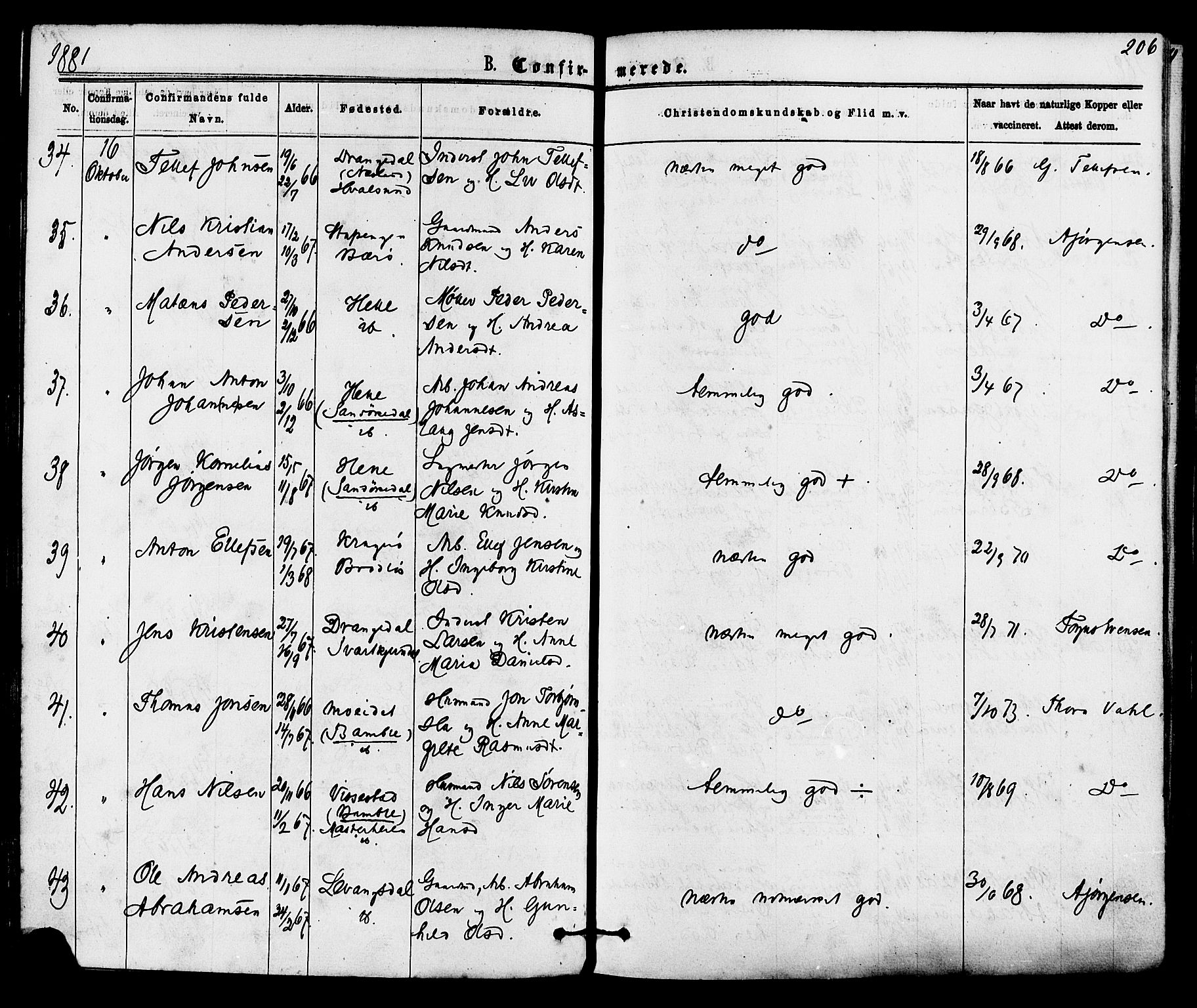 Skåtøy kirkebøker, AV/SAKO-A-304/F/Fa/L0001: Ministerialbok nr. I 1, 1874-1883, s. 206