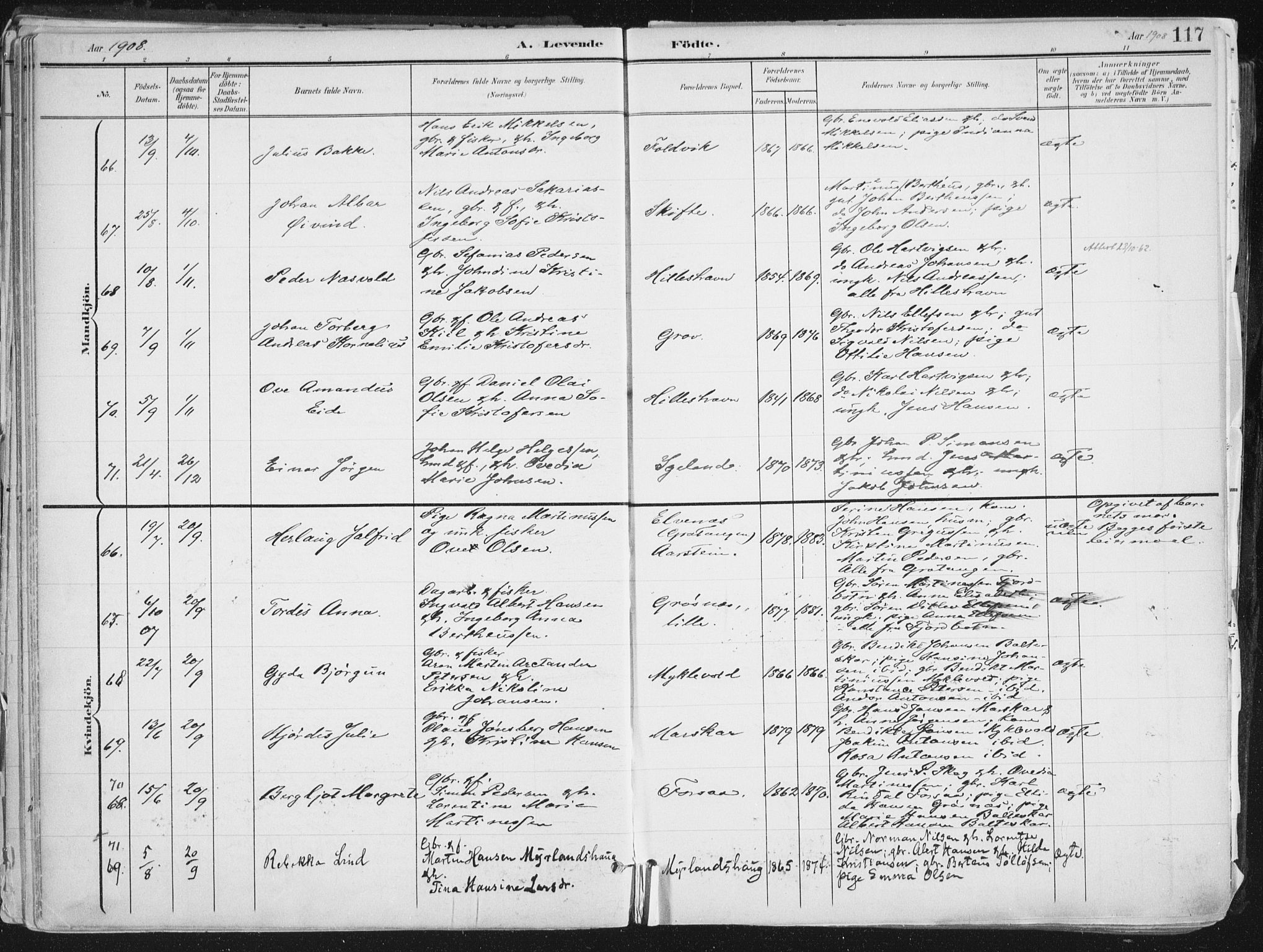 Ibestad sokneprestembete, AV/SATØ-S-0077/H/Ha/Haa/L0017kirke: Ministerialbok nr. 17, 1901-1914, s. 117