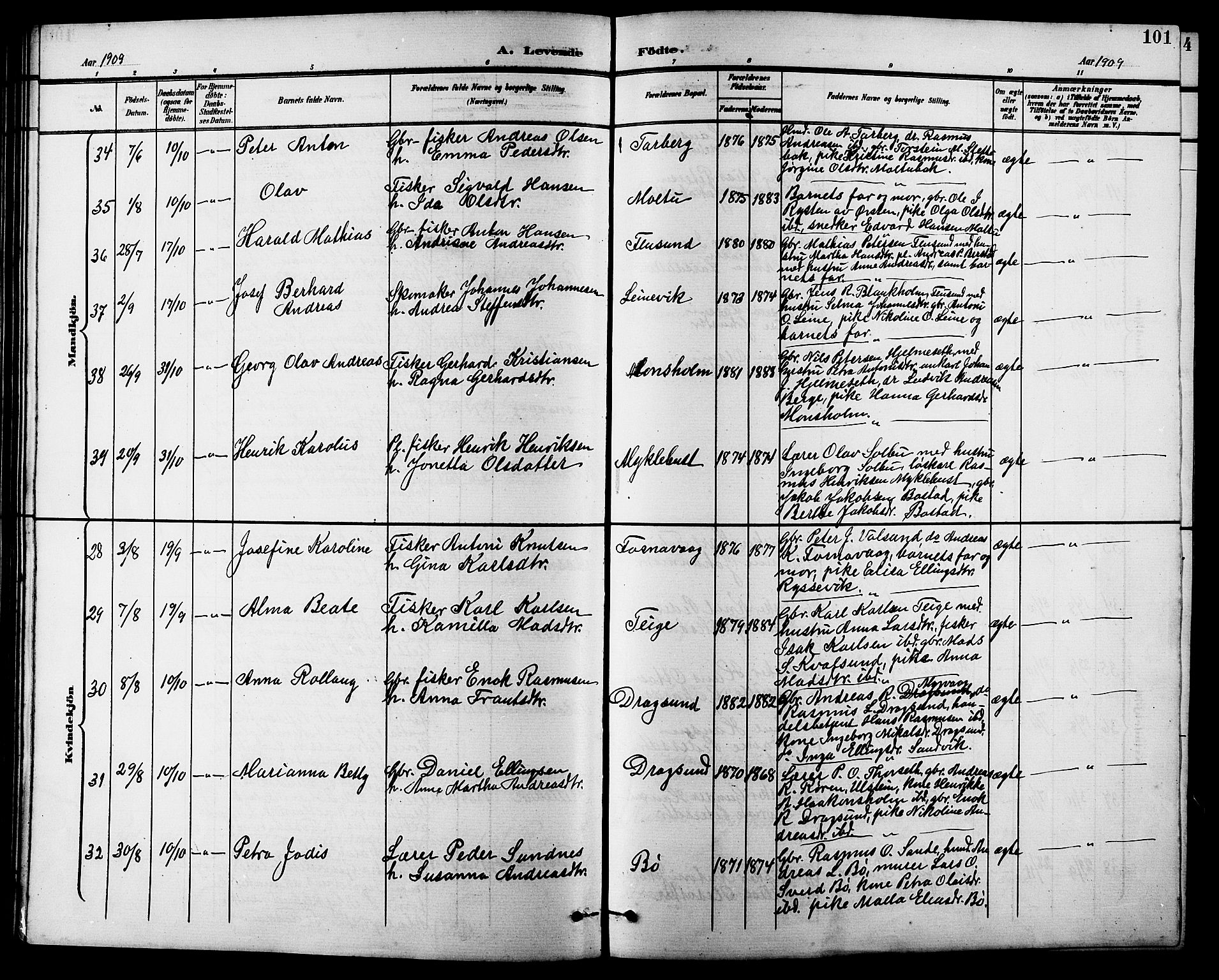 Ministerialprotokoller, klokkerbøker og fødselsregistre - Møre og Romsdal, AV/SAT-A-1454/507/L0082: Klokkerbok nr. 507C05, 1896-1914, s. 101