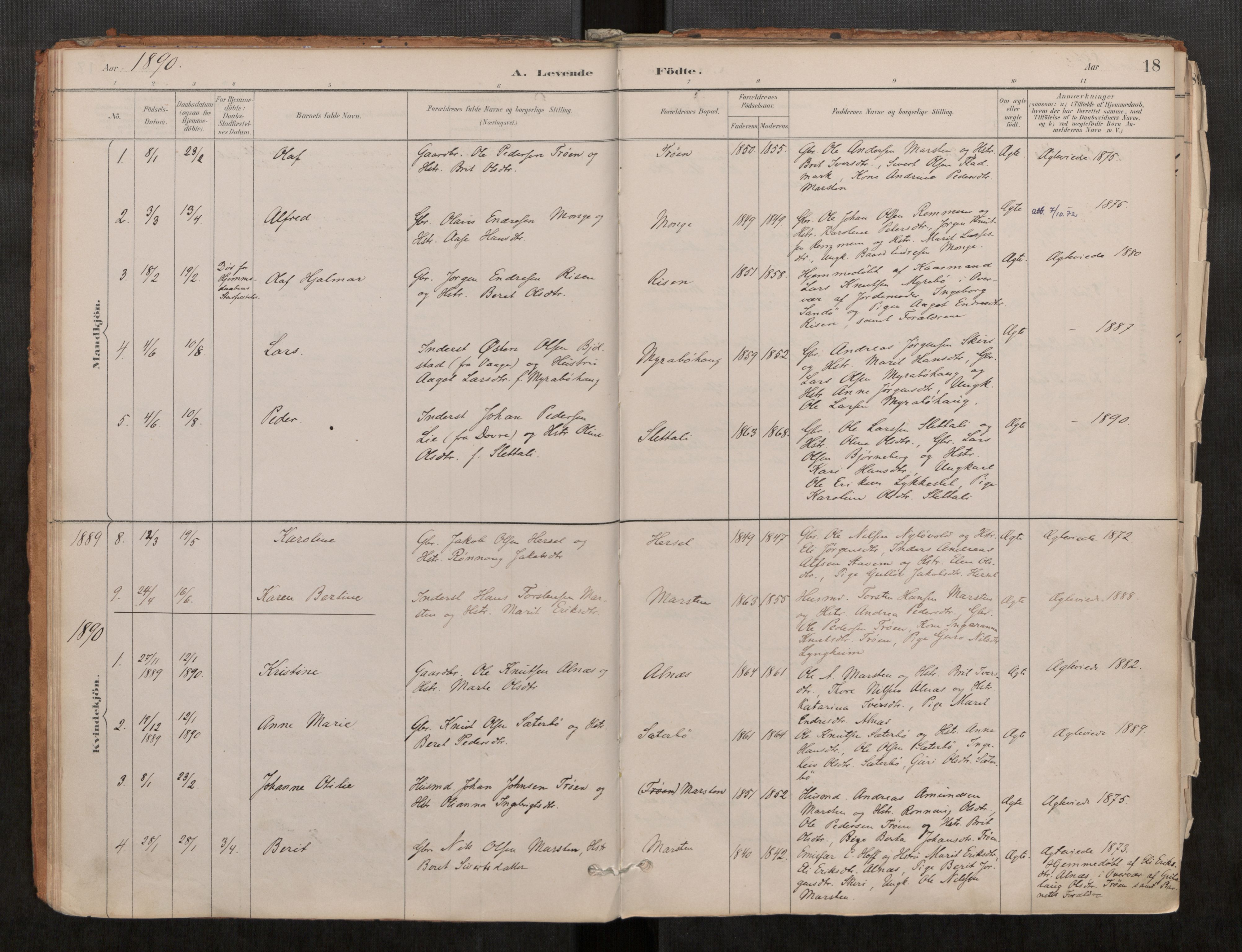 Ministerialprotokoller, klokkerbøker og fødselsregistre - Møre og Romsdal, AV/SAT-A-1454/546/L0599: Ministerialbok nr. 546A03, 1882-1920, s. 18