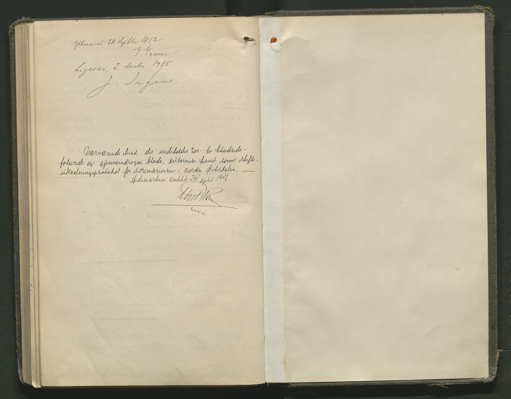 Nord-Østerdal tingrett, AV/SAH-TING-020/J/Jd/L0006: Skifteutlodningsprotokoll, 1907-1920