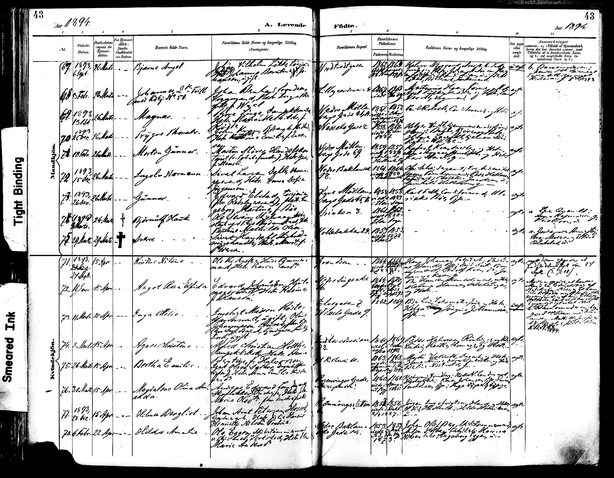 Ministerialprotokoller, klokkerbøker og fødselsregistre - Sør-Trøndelag, SAT/A-1456/604/L0197: Ministerialbok nr. 604A18, 1893-1900, s. 43