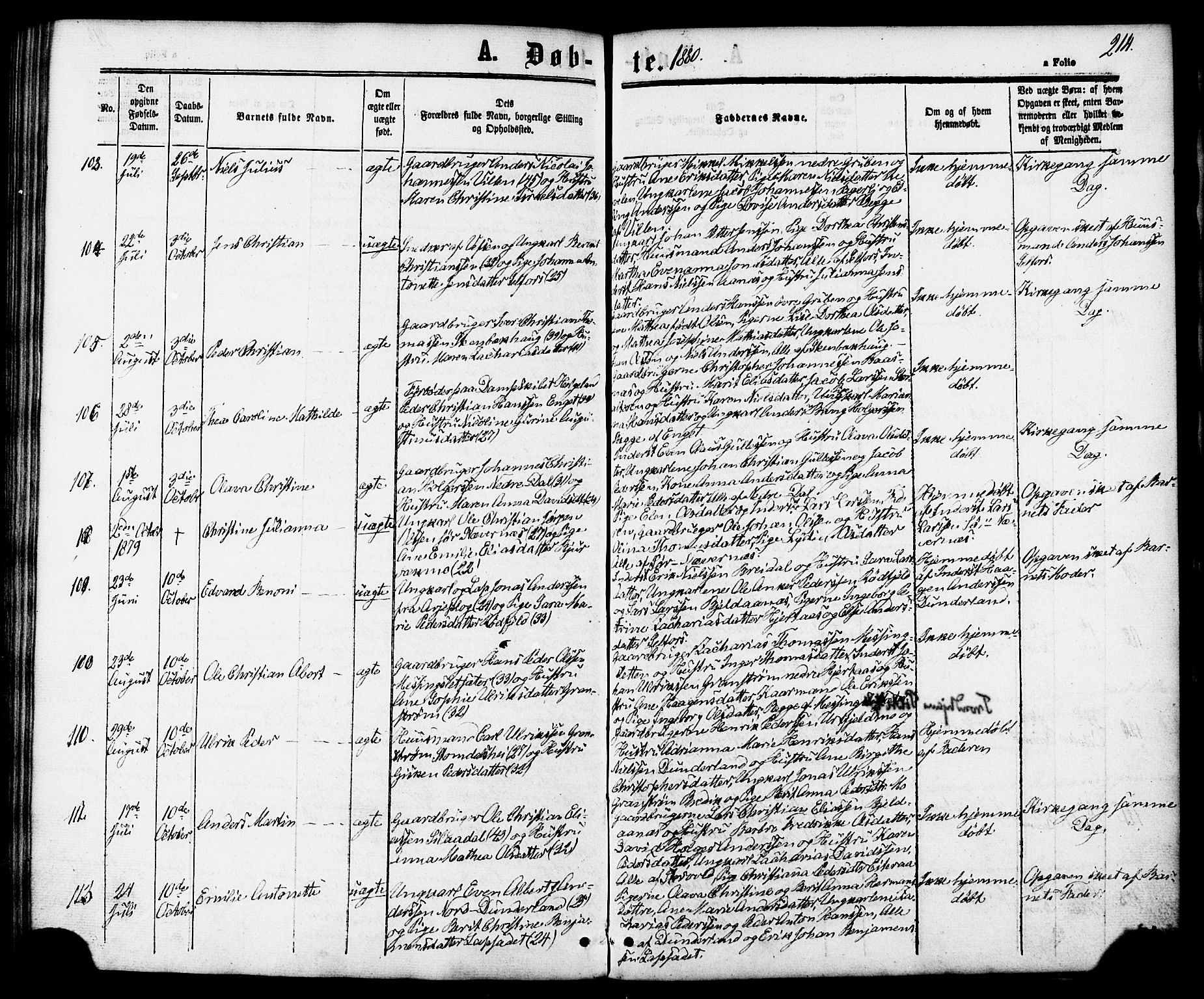 Ministerialprotokoller, klokkerbøker og fødselsregistre - Nordland, AV/SAT-A-1459/827/L0393: Ministerialbok nr. 827A05, 1863-1883, s. 214