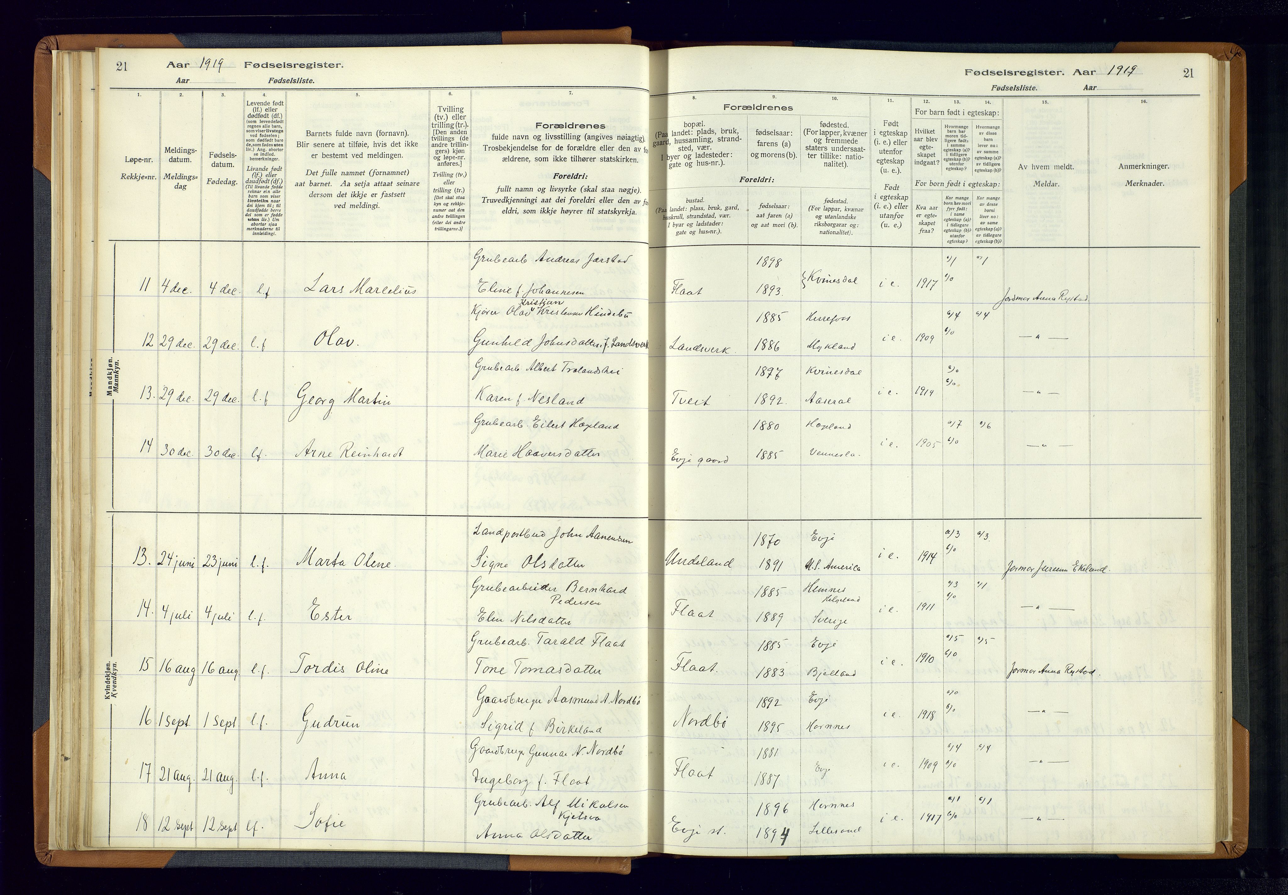 Evje sokneprestkontor, AV/SAK-1111-0008/J/Jc/L0004: Fødselsregister nr. 4, 1916-1968, s. 21