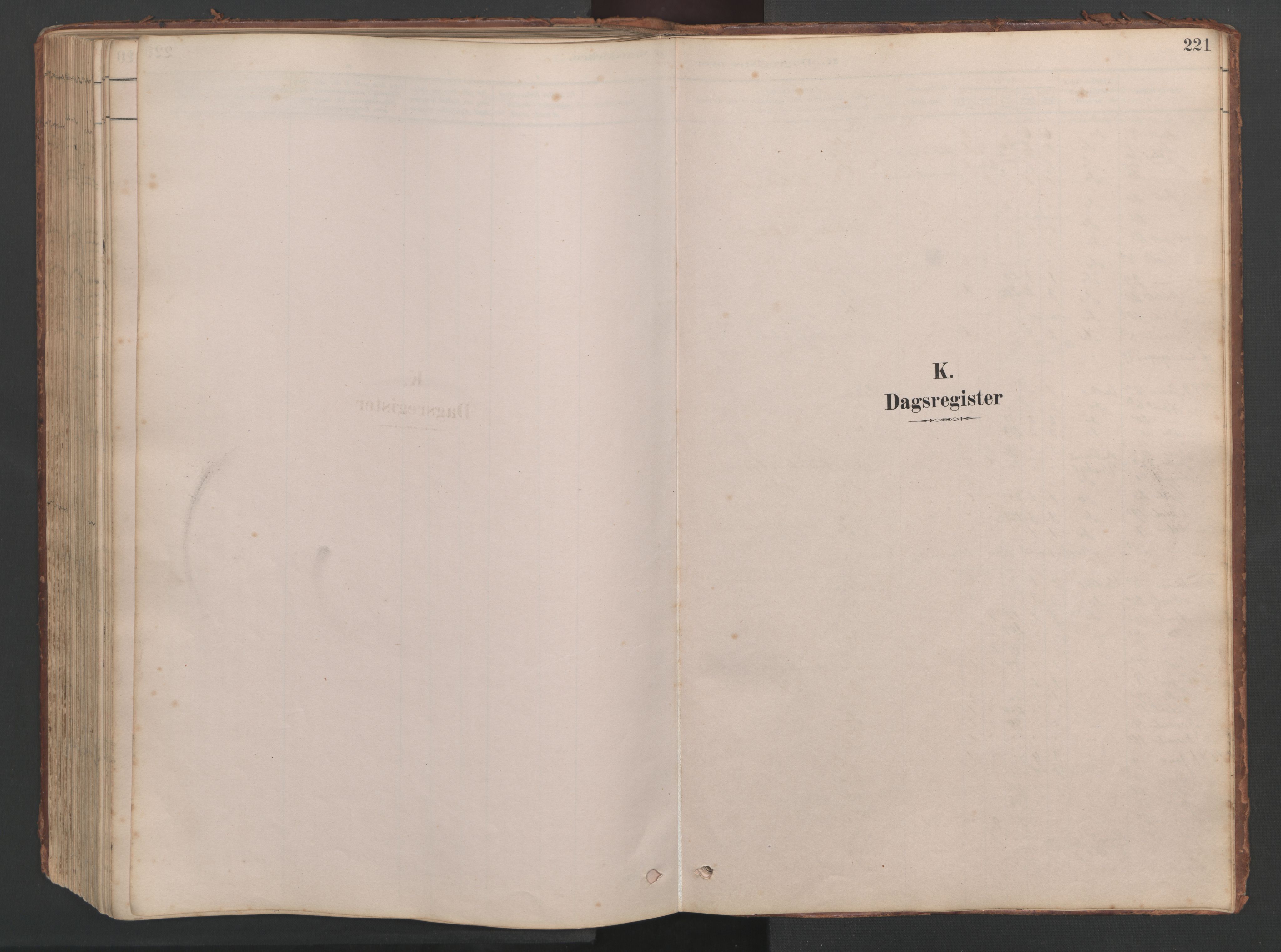 Ministerialprotokoller, klokkerbøker og fødselsregistre - Møre og Romsdal, AV/SAT-A-1454/514/L0201: Klokkerbok nr. 514C01, 1878-1919, s. 221