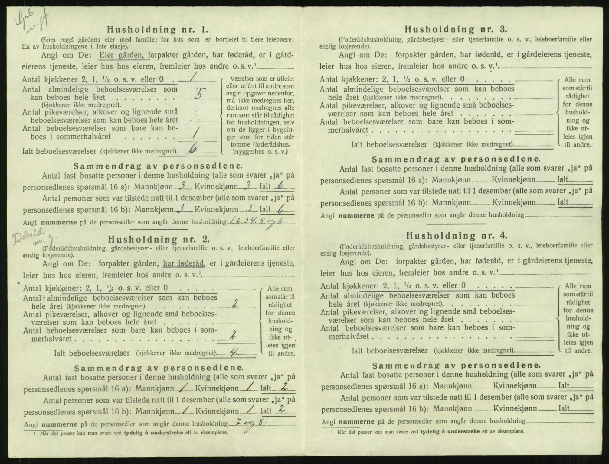 SAT, Folketelling 1920 for 1567 Rindal herred, 1920, s. 45