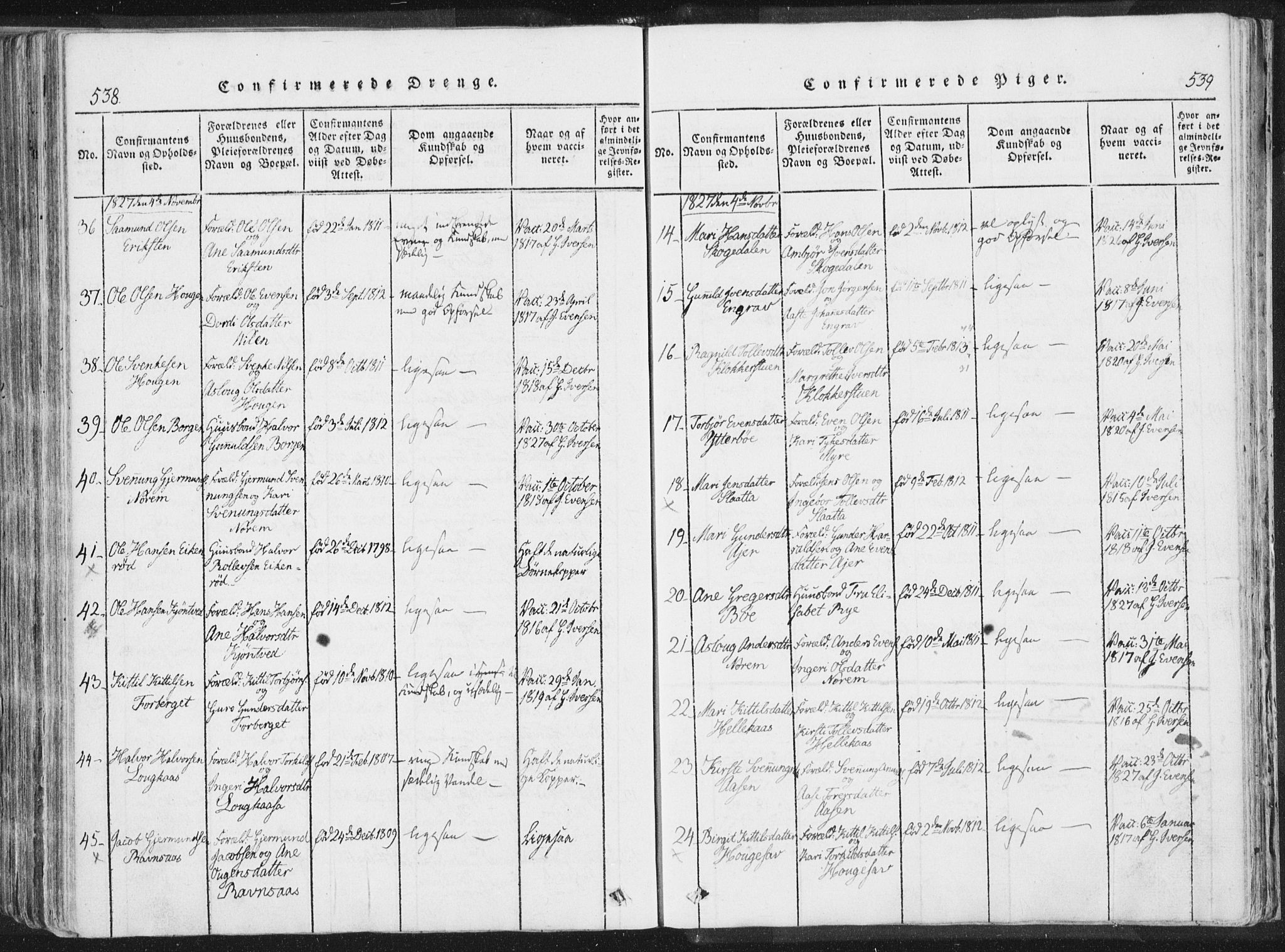 Bø kirkebøker, AV/SAKO-A-257/F/Fa/L0006: Ministerialbok nr. 6, 1815-1831, s. 538-539