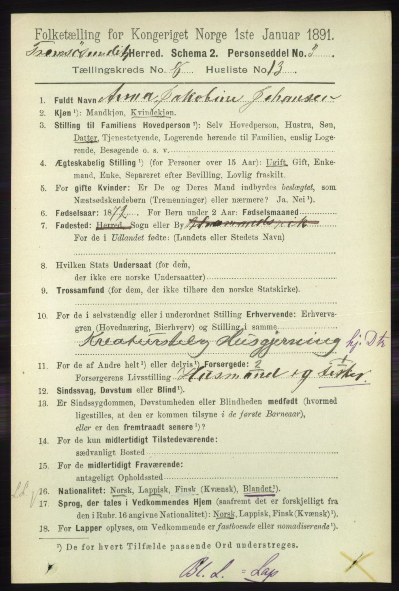 RA, Folketelling 1891 for 1934 Tromsøysund herred, 1891, s. 4518