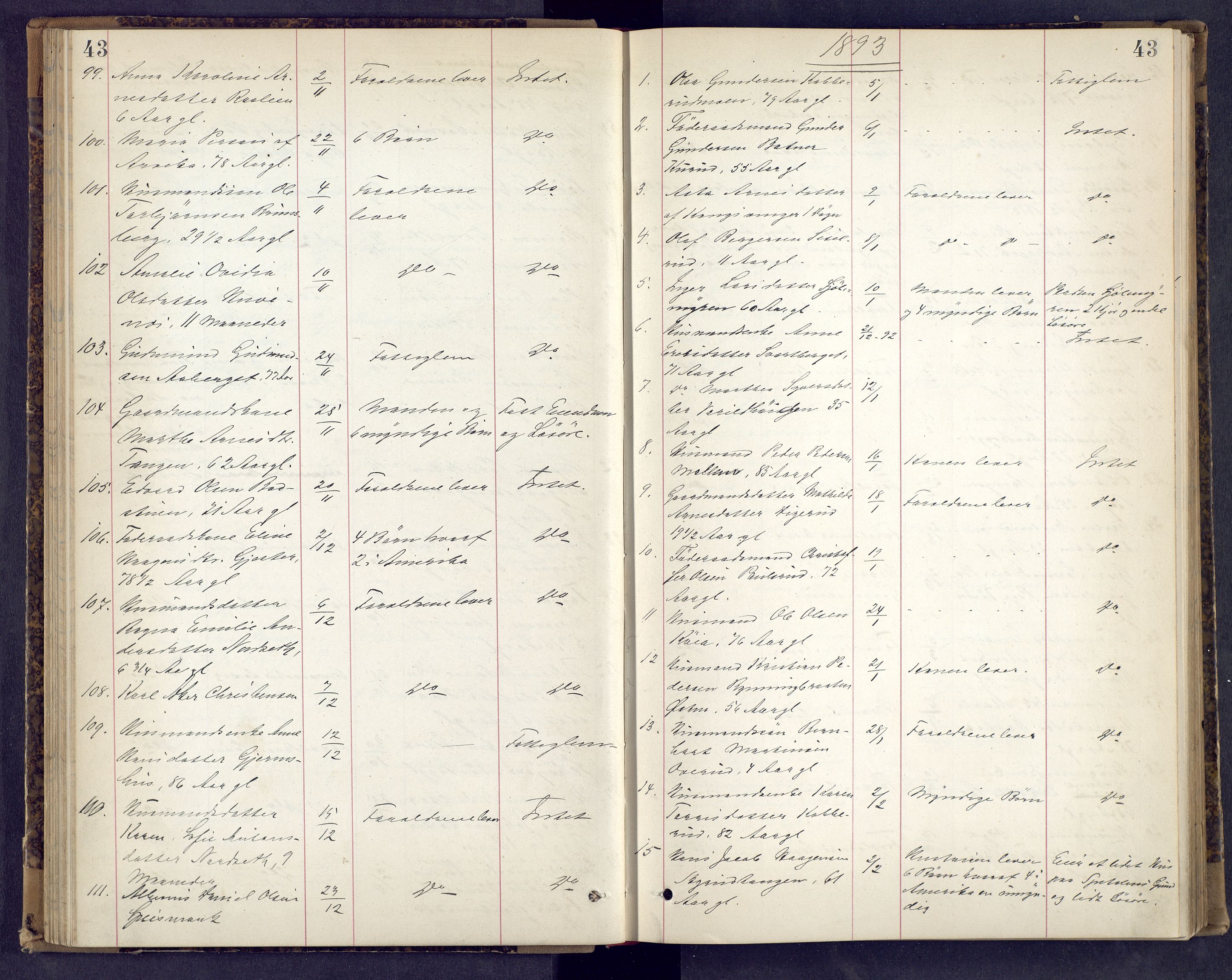 Vinger og Odal sorenskriveri, AV/SAH-TING-022/J/Jf/L0004: Dødsfallsprotokoll - Vinger og Eidskog, 1881-1901, s. 43