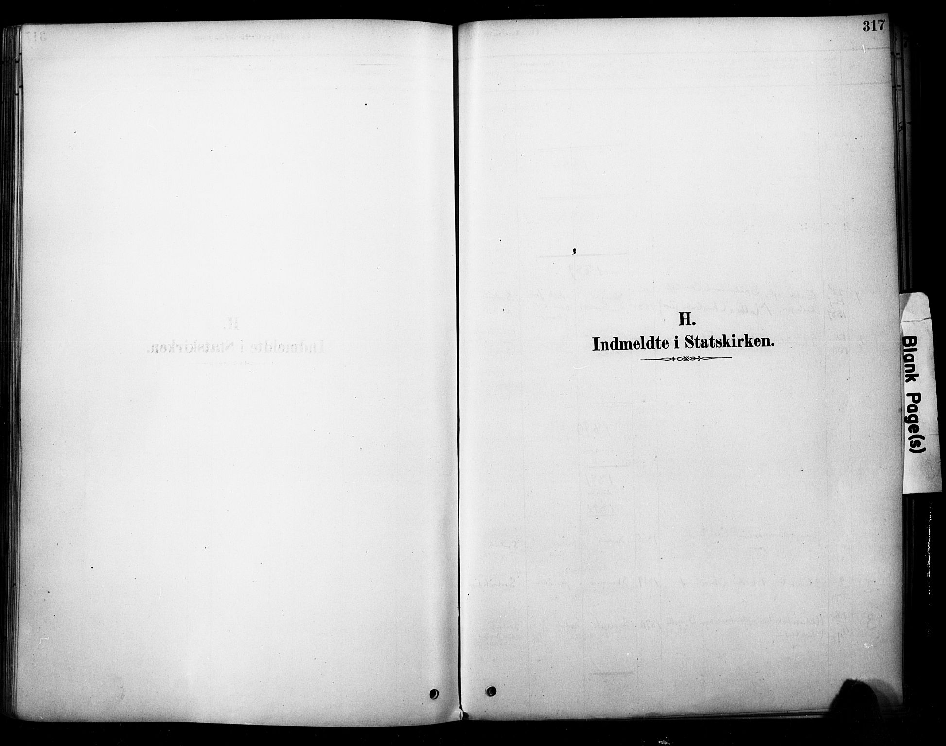 Strømm kirkebøker, SAKO/A-322/F/Fb/L0001: Ministerialbok nr. II 1, 1878-1899, s. 317