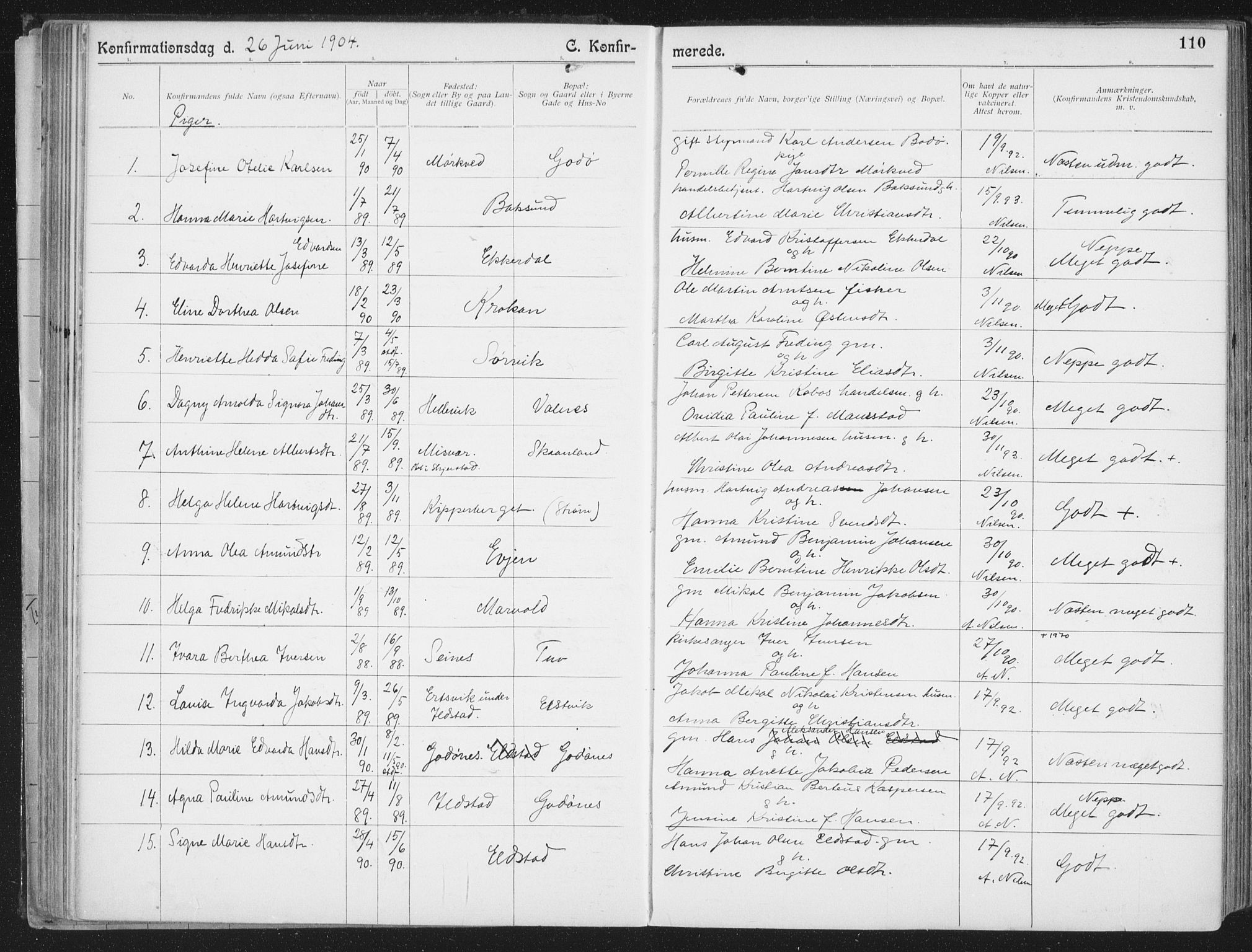 Ministerialprotokoller, klokkerbøker og fødselsregistre - Nordland, AV/SAT-A-1459/804/L0081: Ministerialbok nr. 804A02, 1901-1915, s. 110