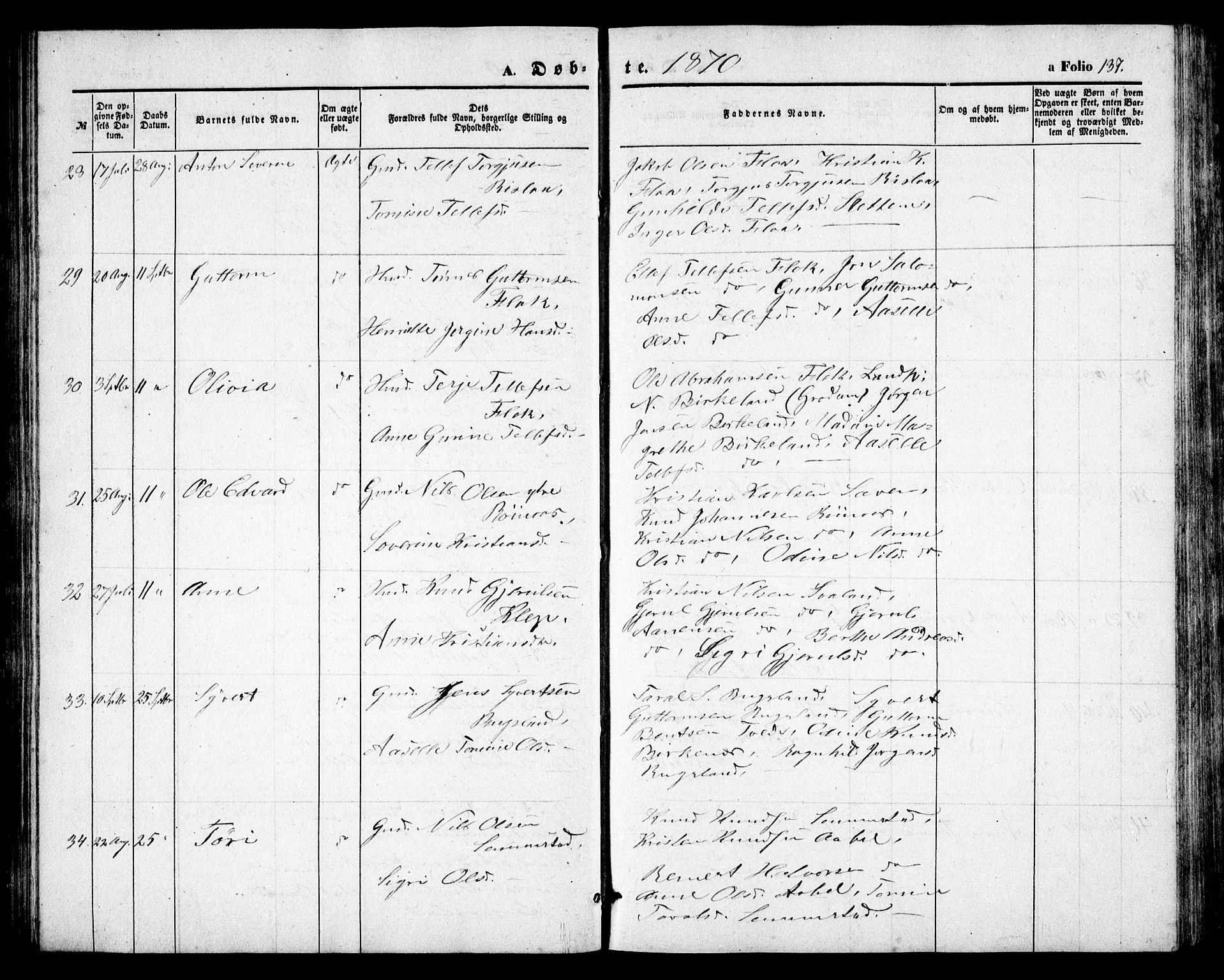 Birkenes sokneprestkontor, AV/SAK-1111-0004/F/Fb/L0002: Klokkerbok nr. B 2, 1849-1876, s. 137