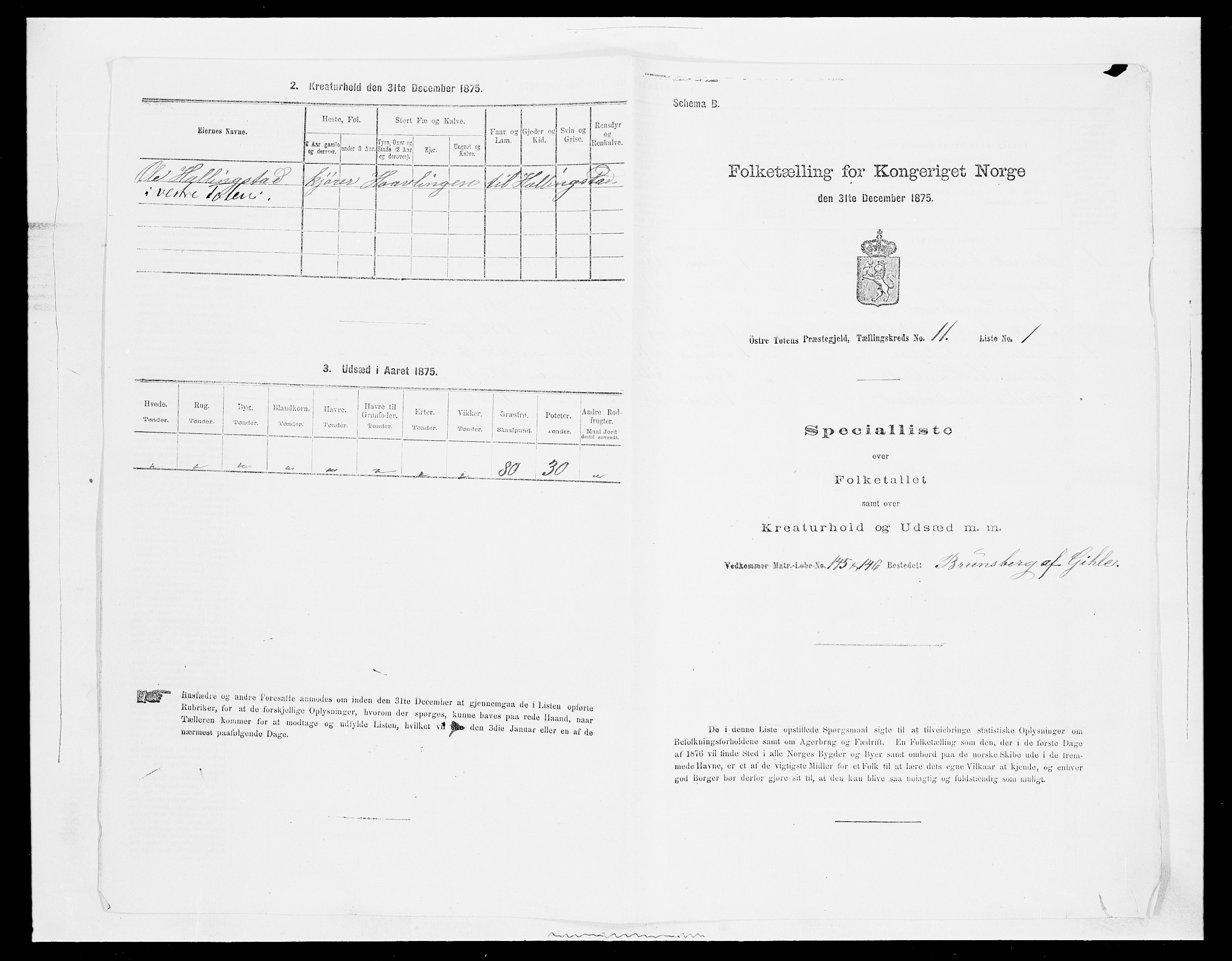 SAH, Folketelling 1875 for 0528P Østre Toten prestegjeld, 1875, s. 1992