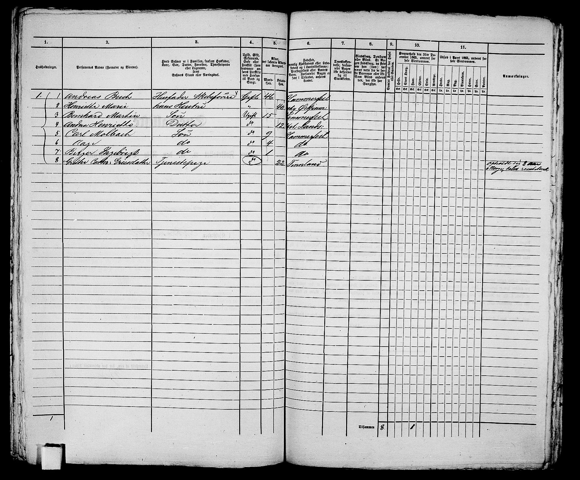 RA, Folketelling 1865 for 2001B Hammerfest prestegjeld, Hammerfest kjøpstad, 1865, s. 266