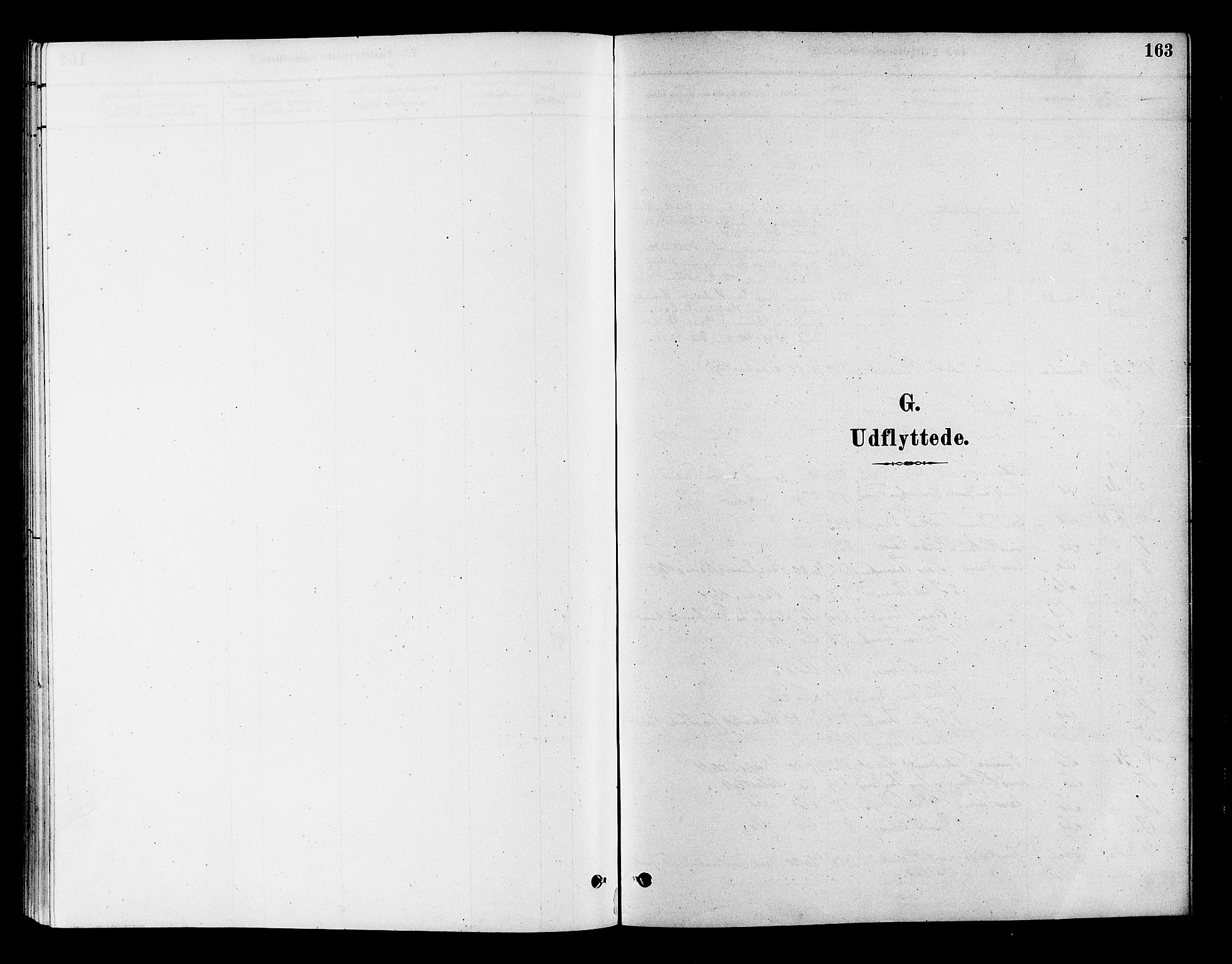 Flesberg kirkebøker, AV/SAKO-A-18/F/Fc/L0001: Ministerialbok nr. III 1, 1879-1905, s. 163