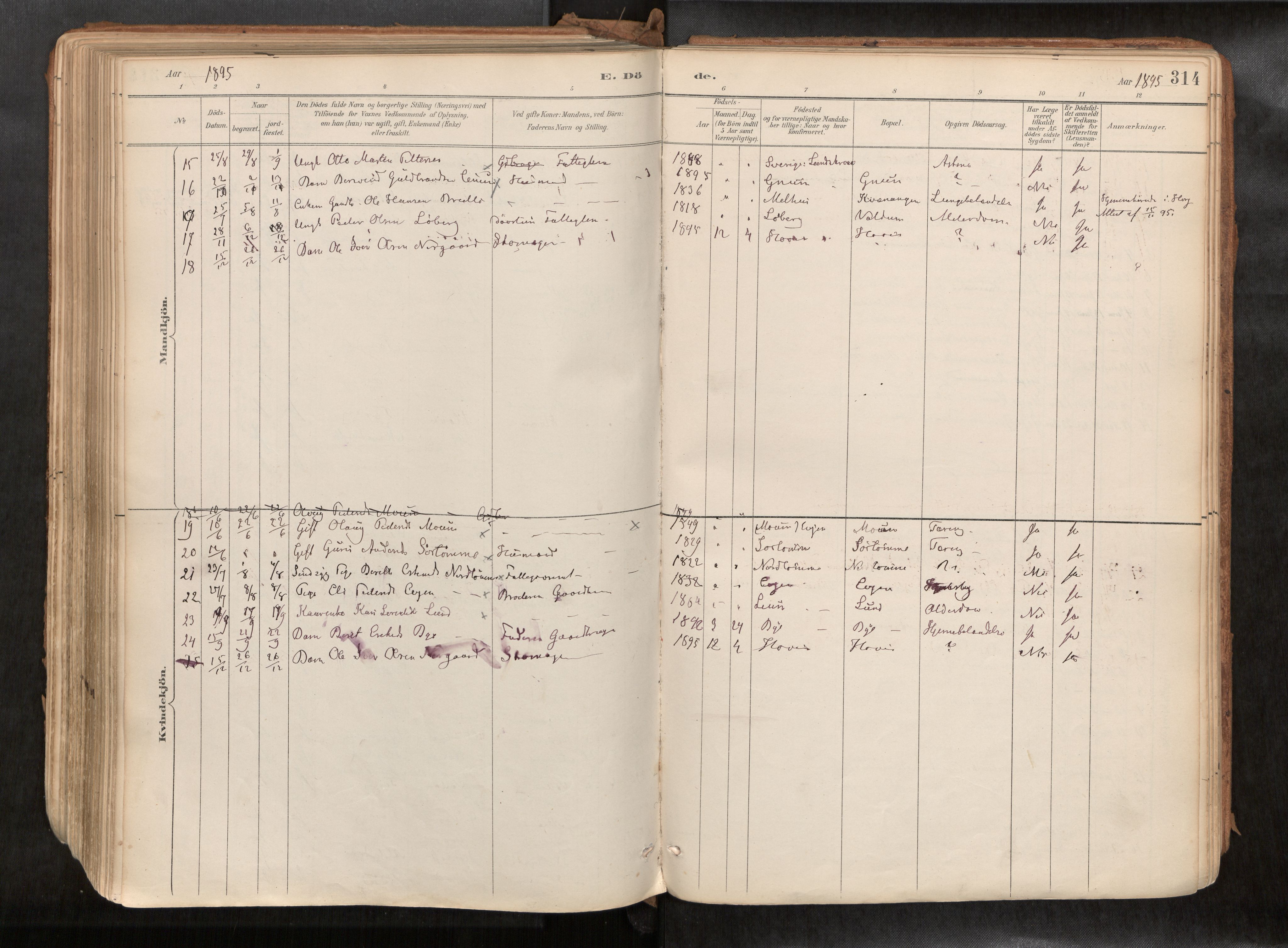 Ministerialprotokoller, klokkerbøker og fødselsregistre - Sør-Trøndelag, AV/SAT-A-1456/692/L1105b: Ministerialbok nr. 692A06, 1891-1934, s. 314