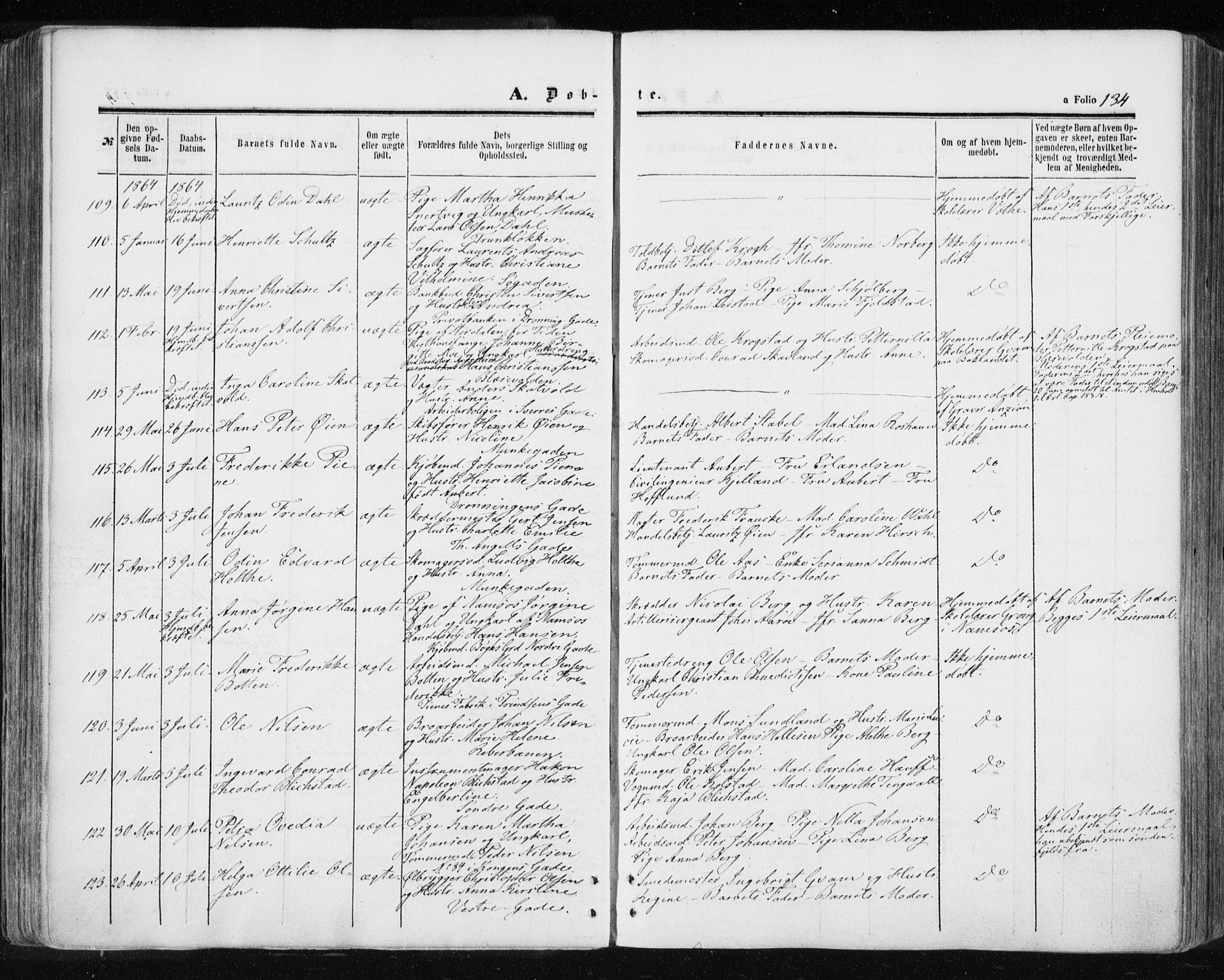 Ministerialprotokoller, klokkerbøker og fødselsregistre - Sør-Trøndelag, SAT/A-1456/601/L0053: Ministerialbok nr. 601A21, 1857-1865, s. 134