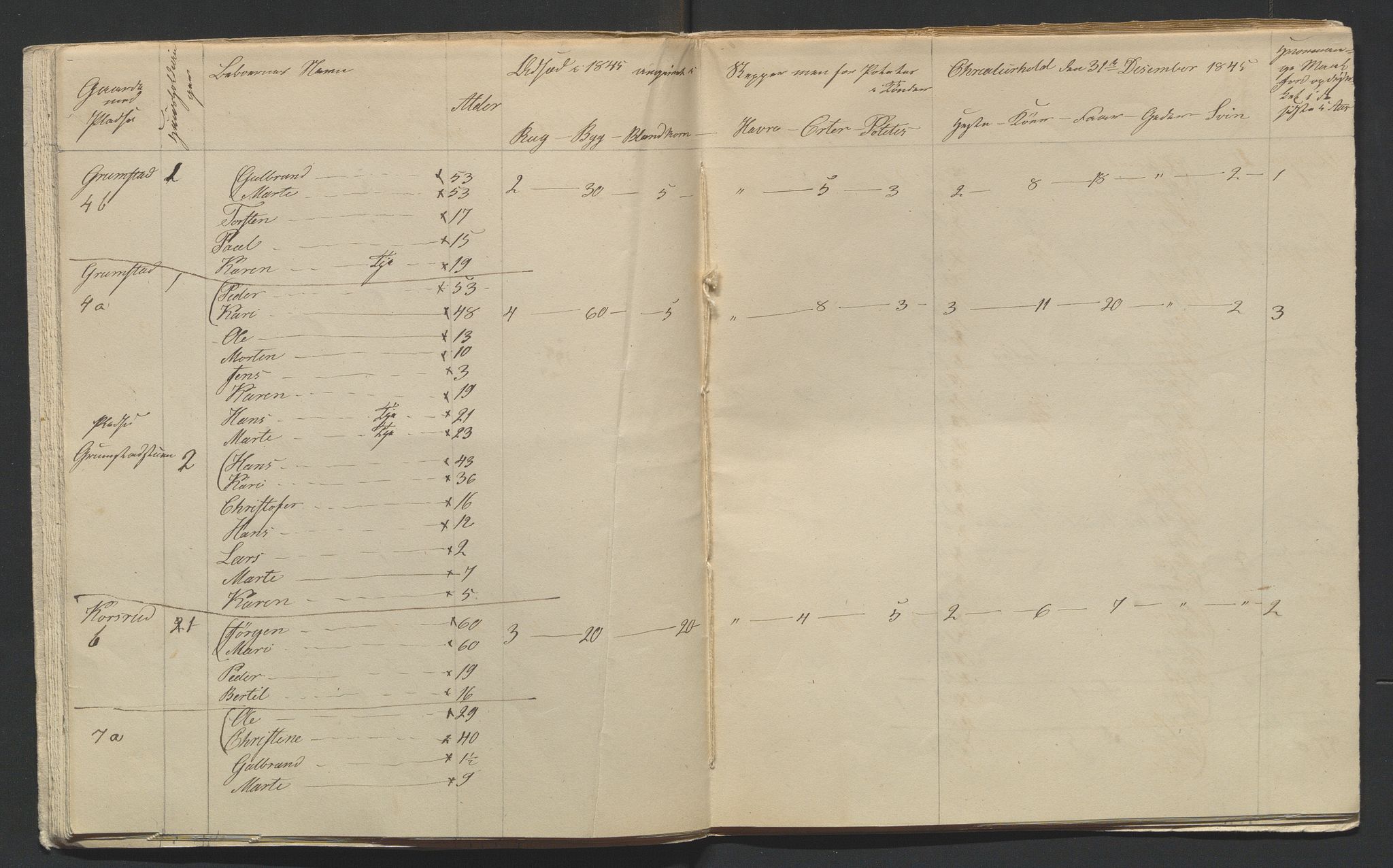 SAH, Lokaliasamlingen for Hedmark og Oppland fylker m.v.: Folketellingen 1845 for Jevnaker prestegjeld, 1845, s. 14