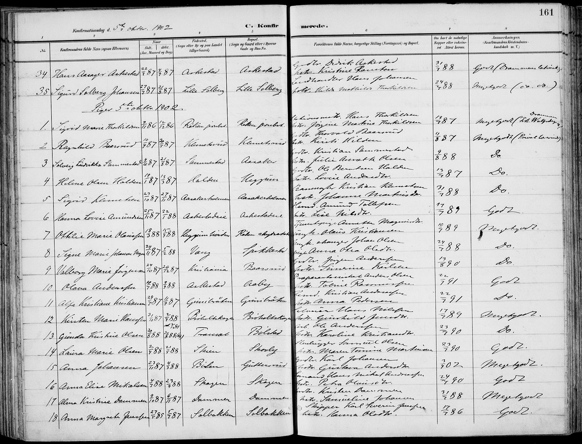 Røyken kirkebøker, AV/SAKO-A-241/F/Fa/L0009: Ministerialbok nr. 9, 1898-1911, s. 161
