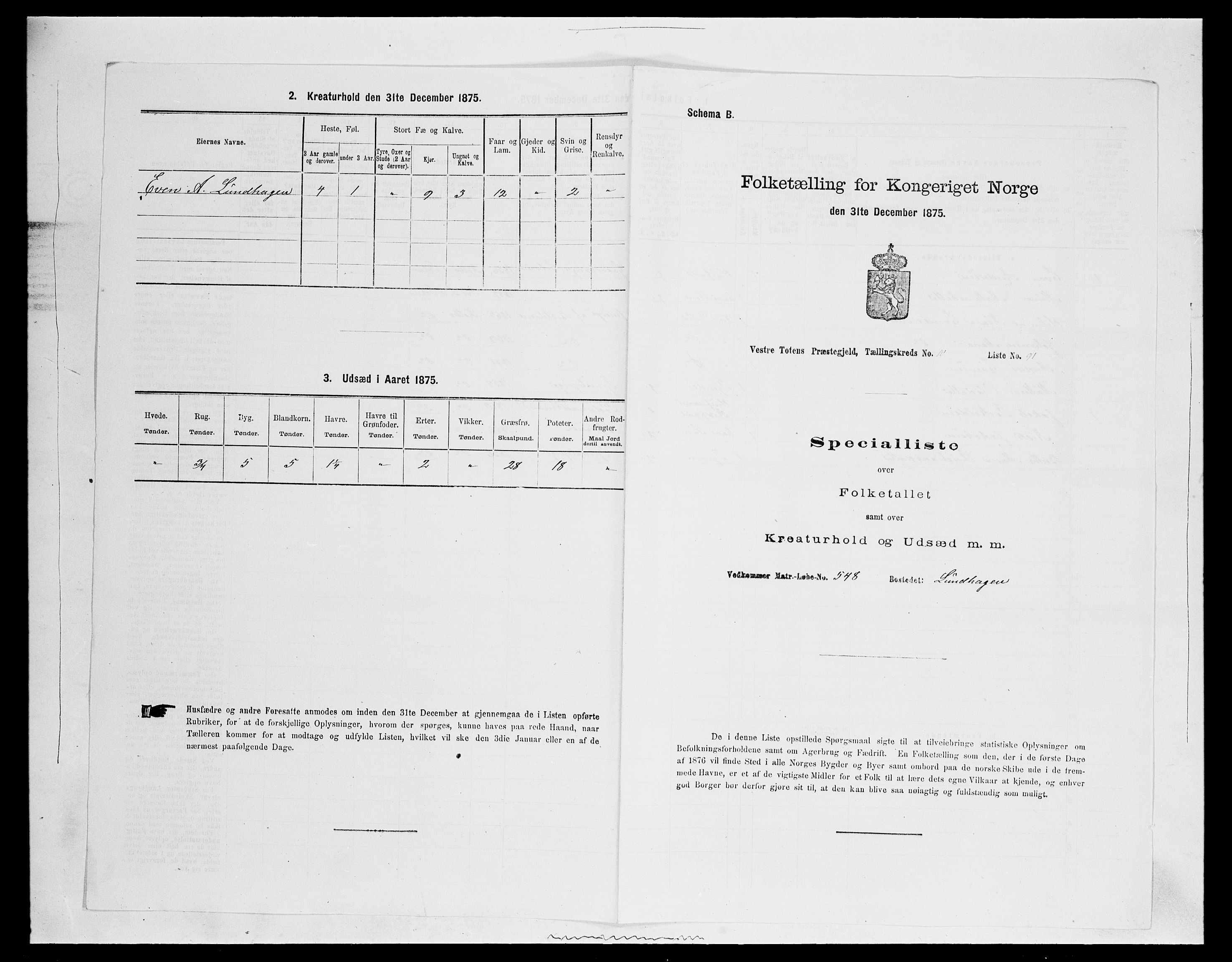 SAH, Folketelling 1875 for 0529P Vestre Toten prestegjeld, 1875, s. 2036